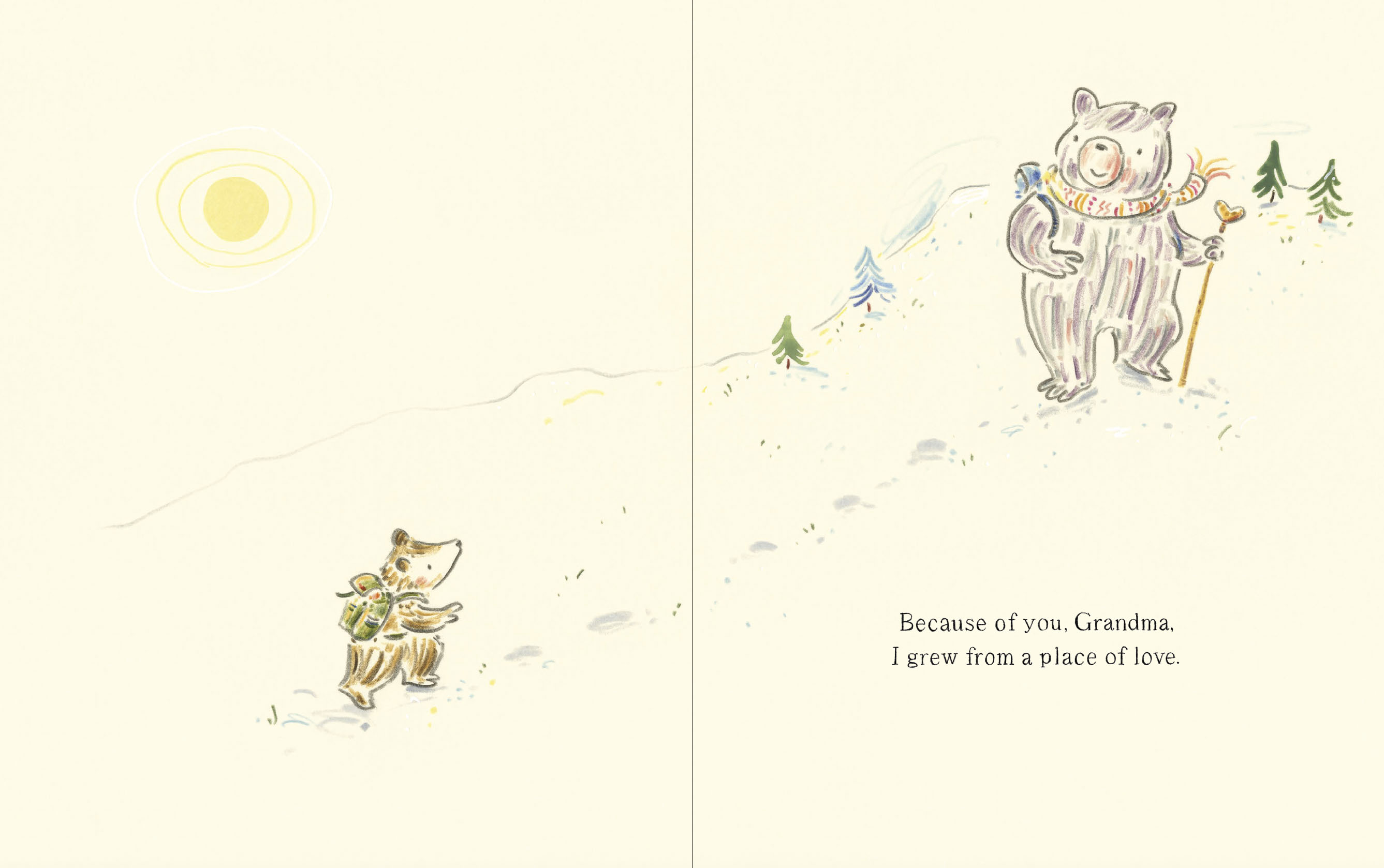 additional book photo