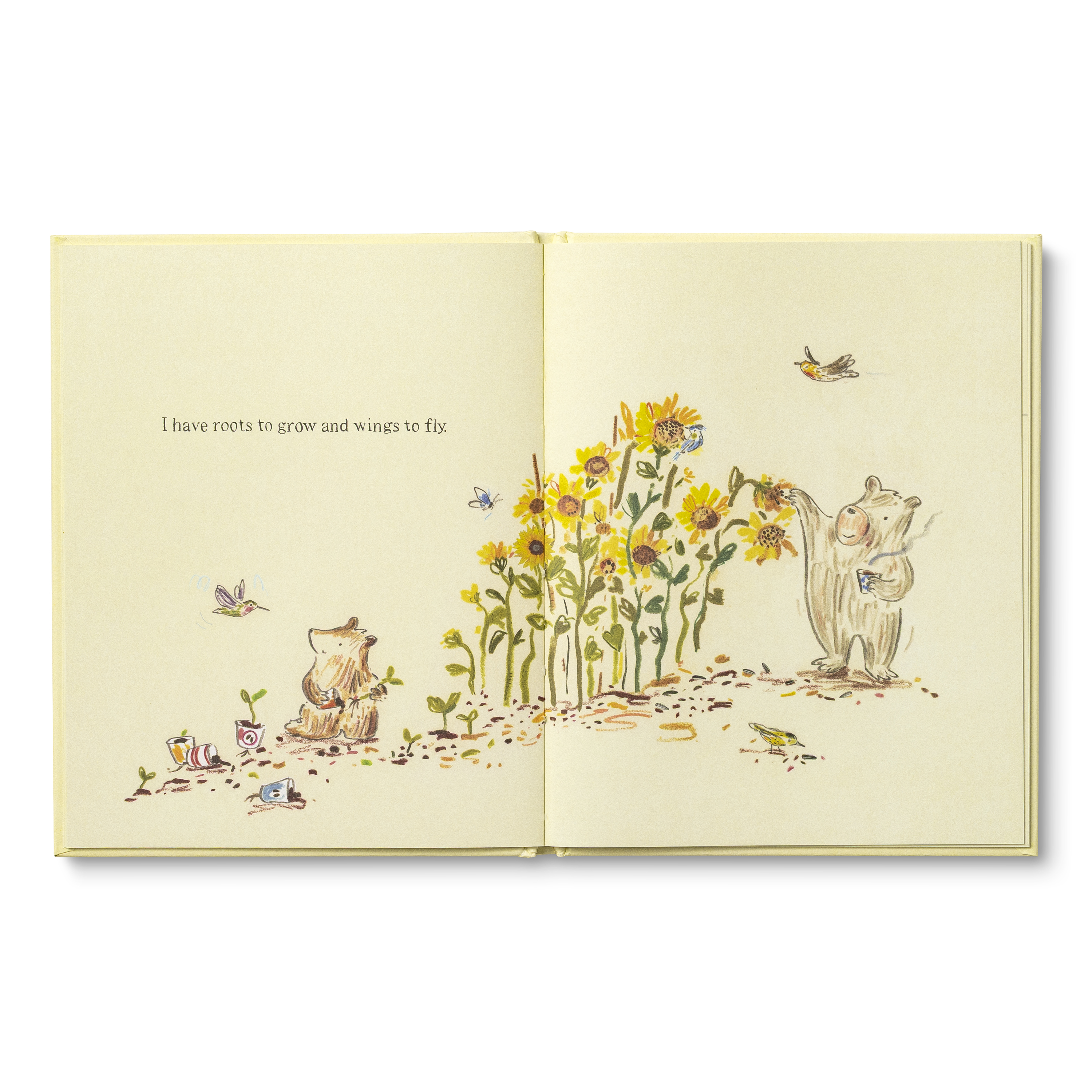 additional book photo