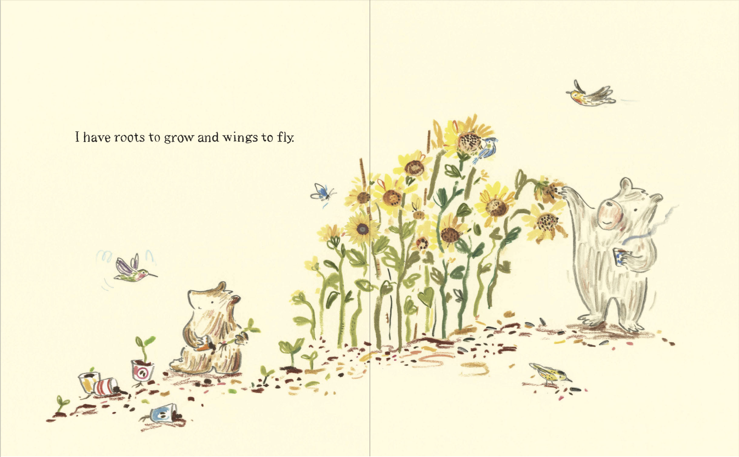 additional book photo