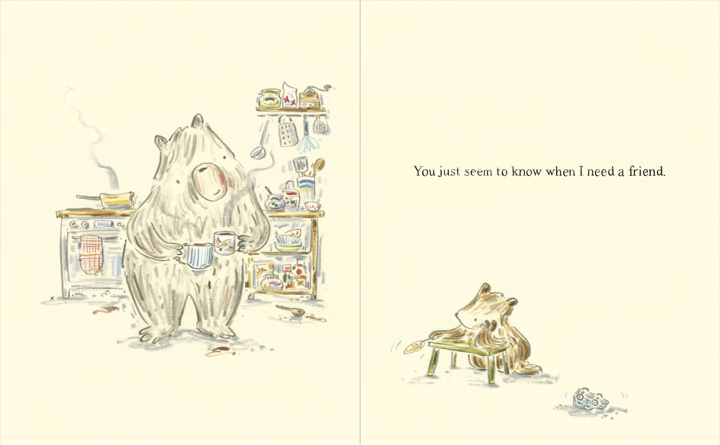 additional book photo