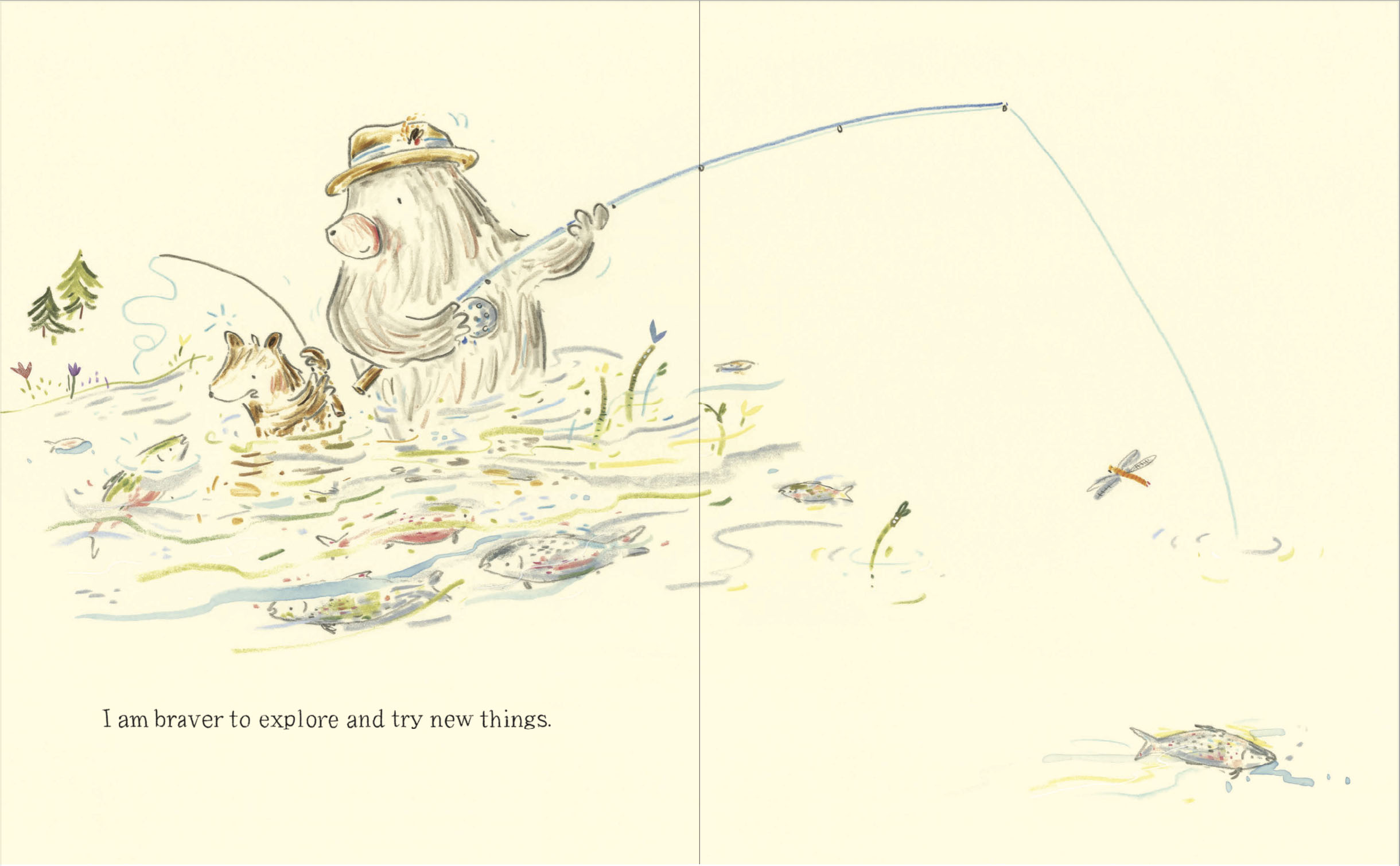additional book photo