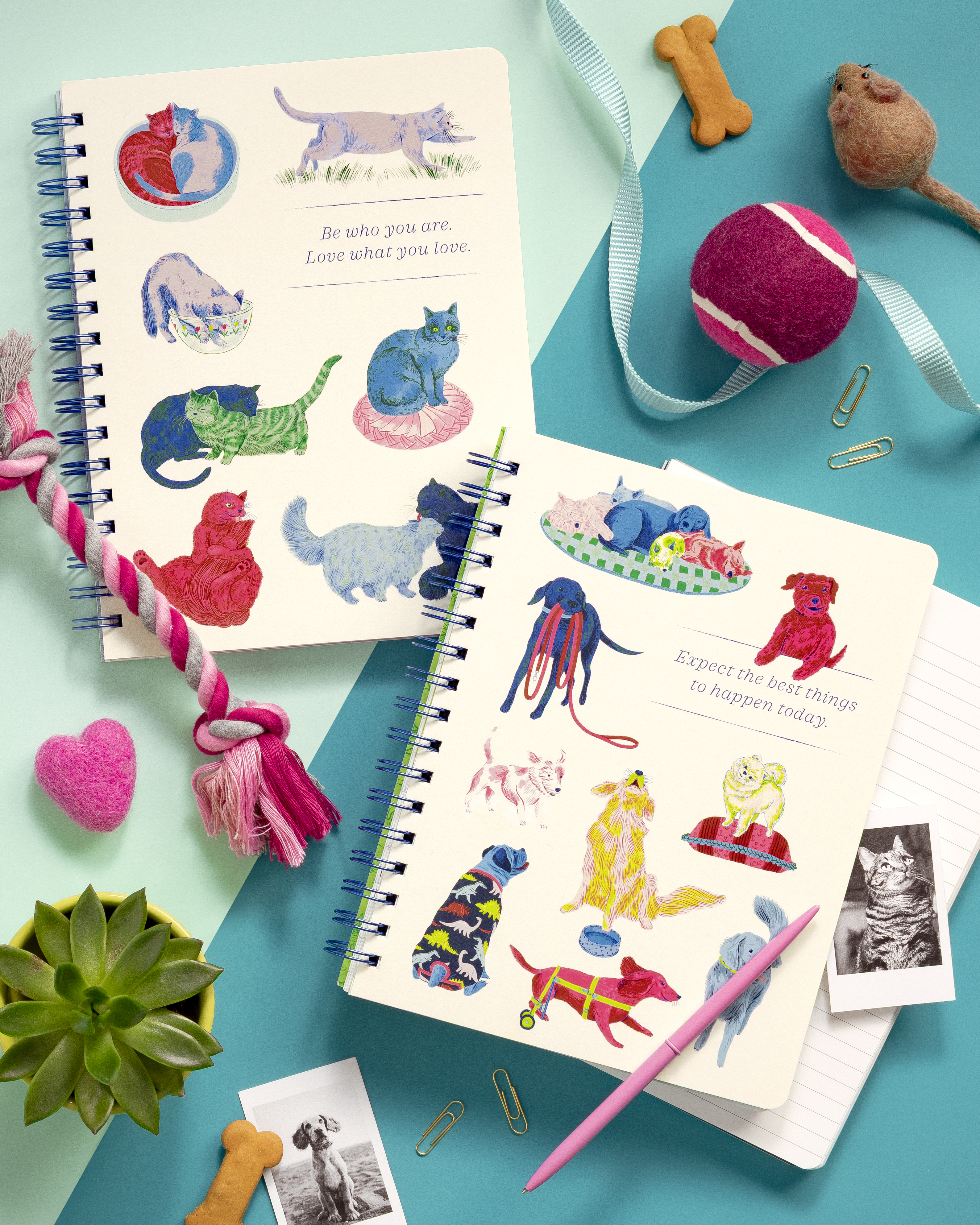 additional book photo