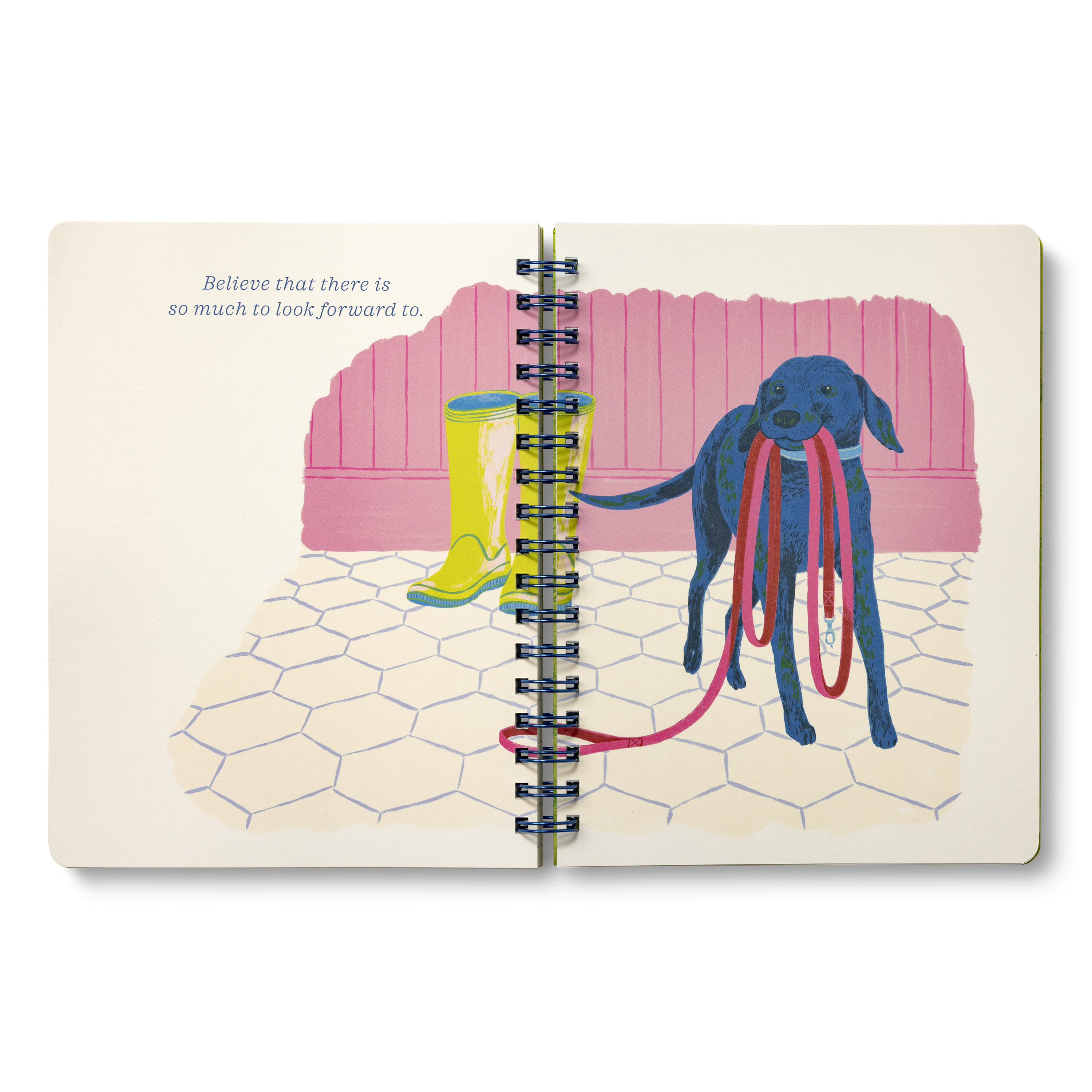 additional book photo