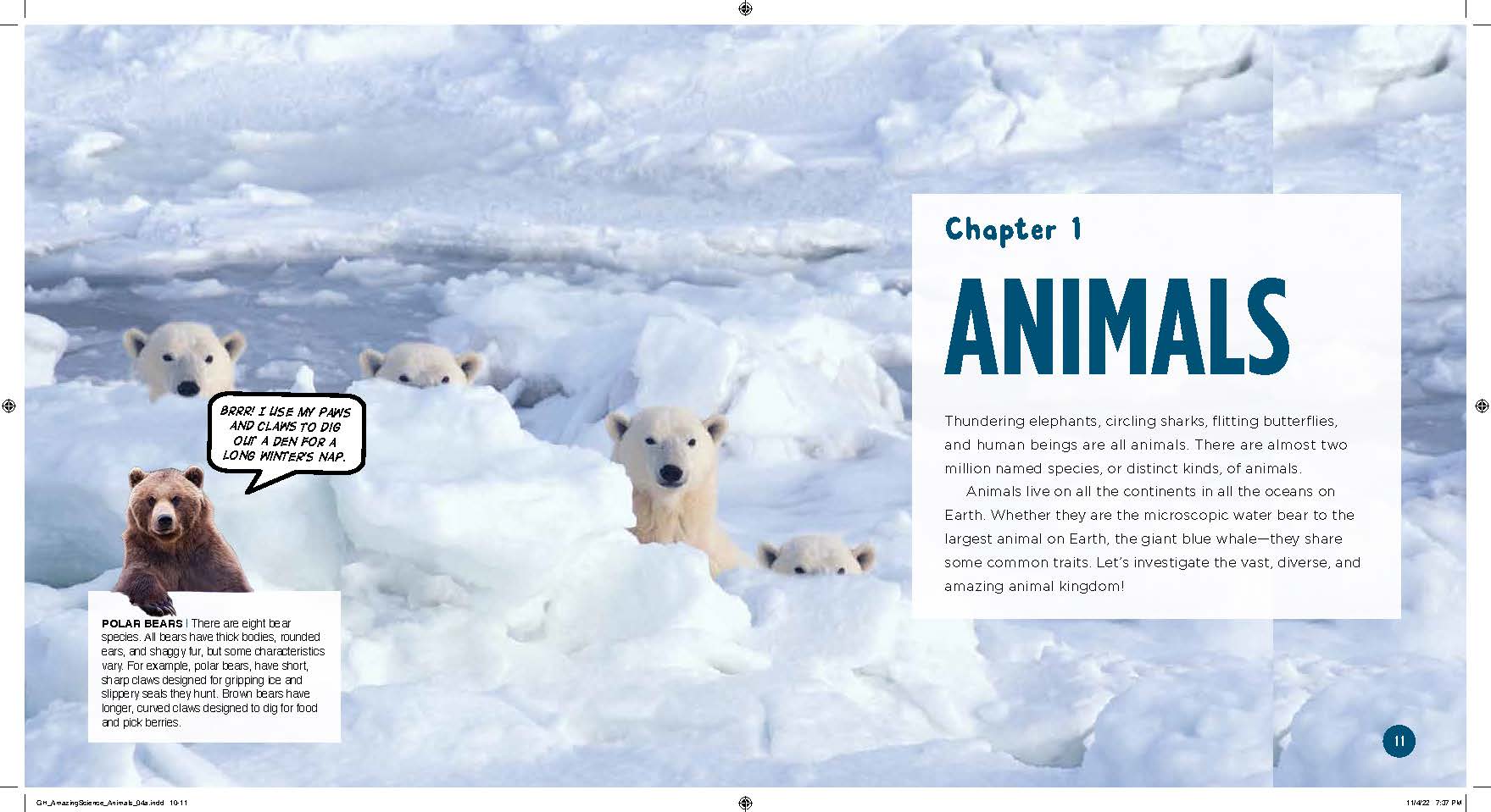additional book photo