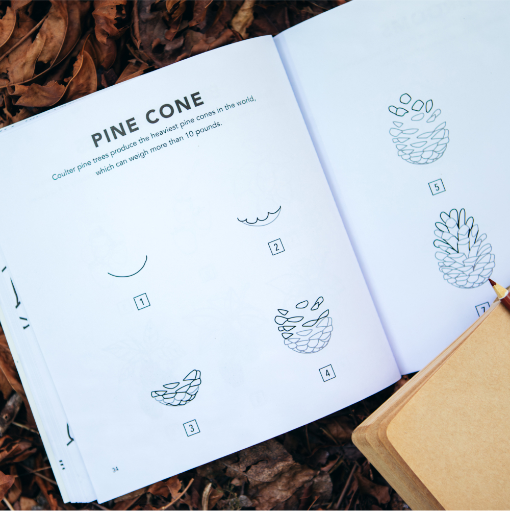 additional book photo
