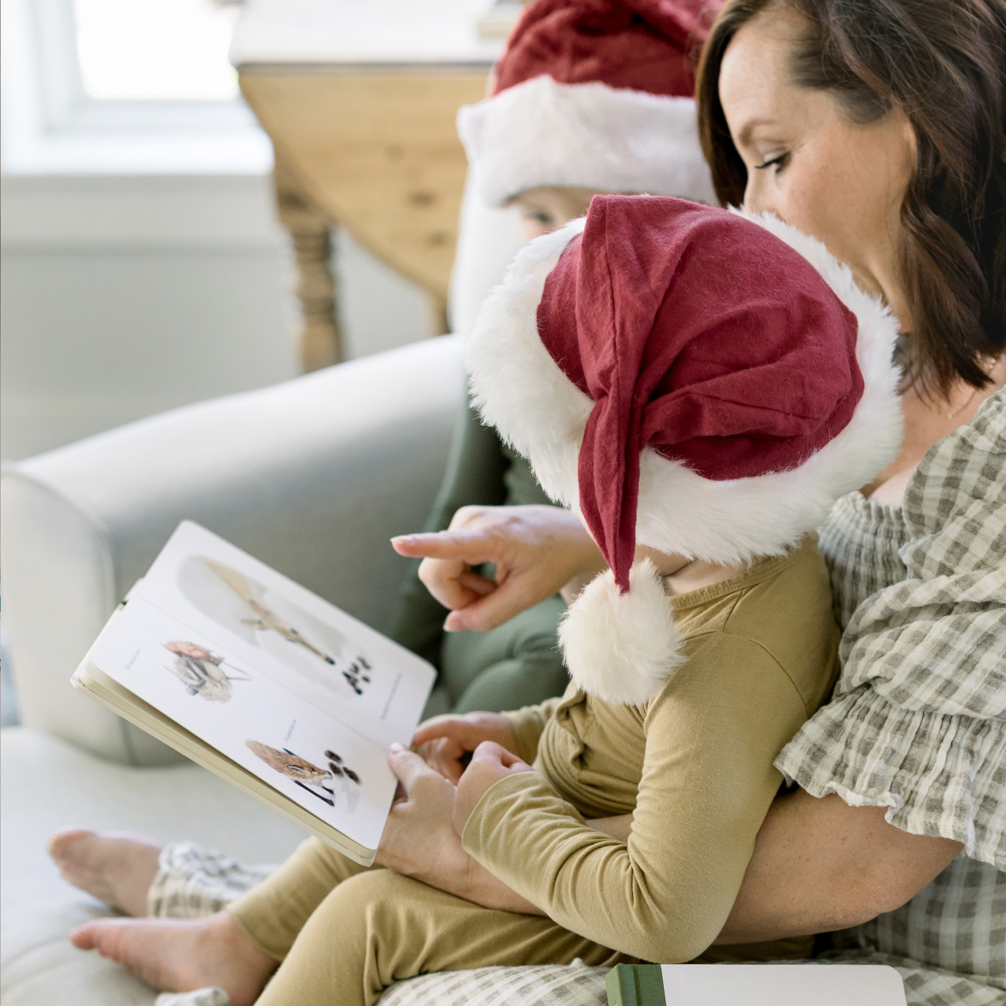 additional book photo