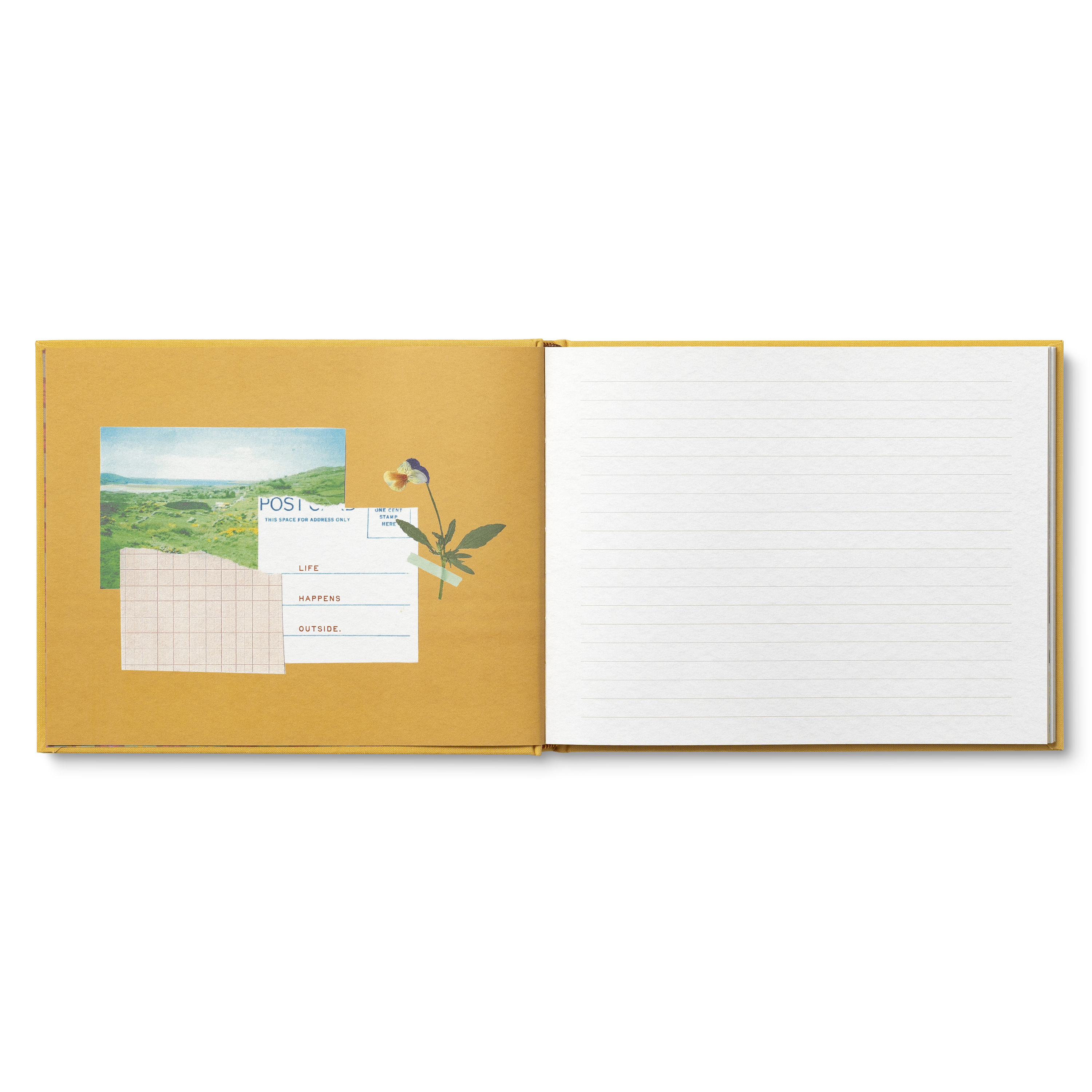 additional book photo