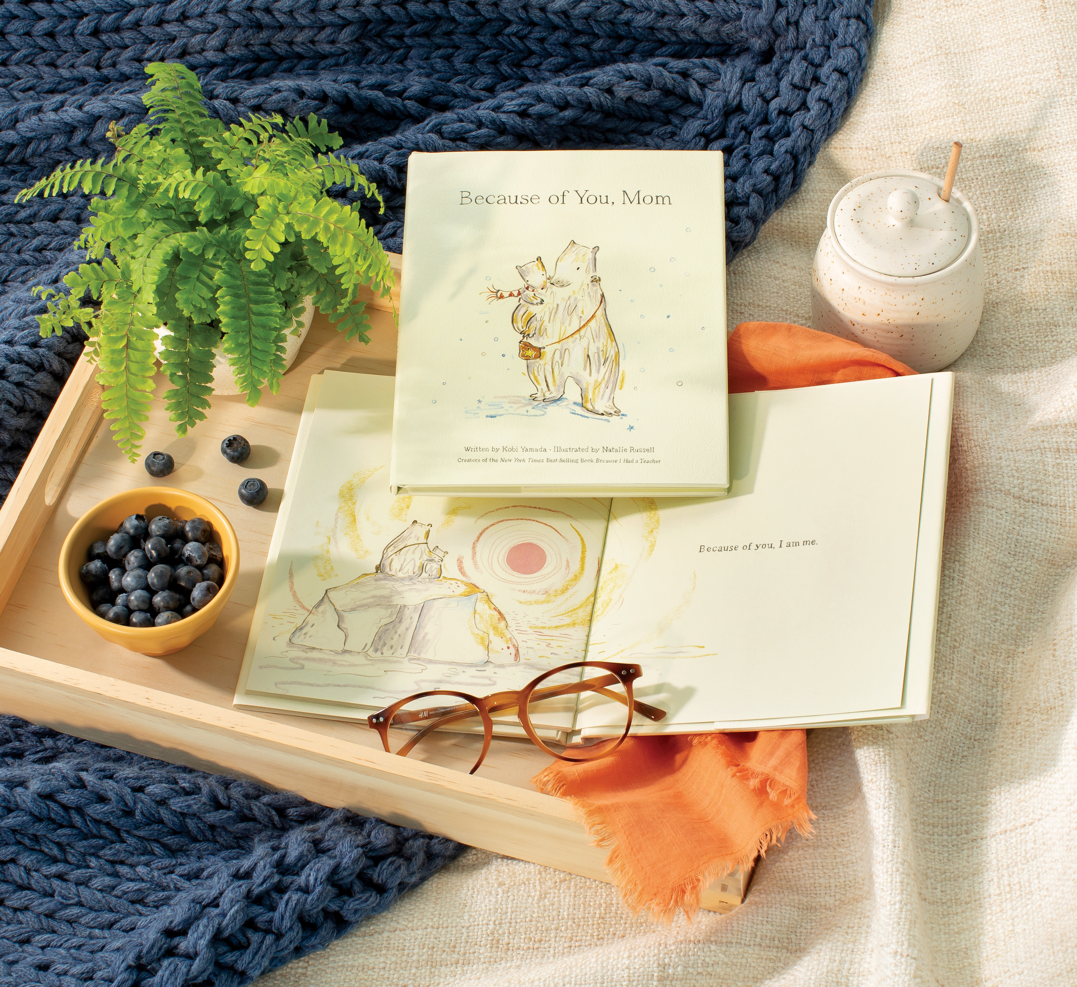 additional book photo