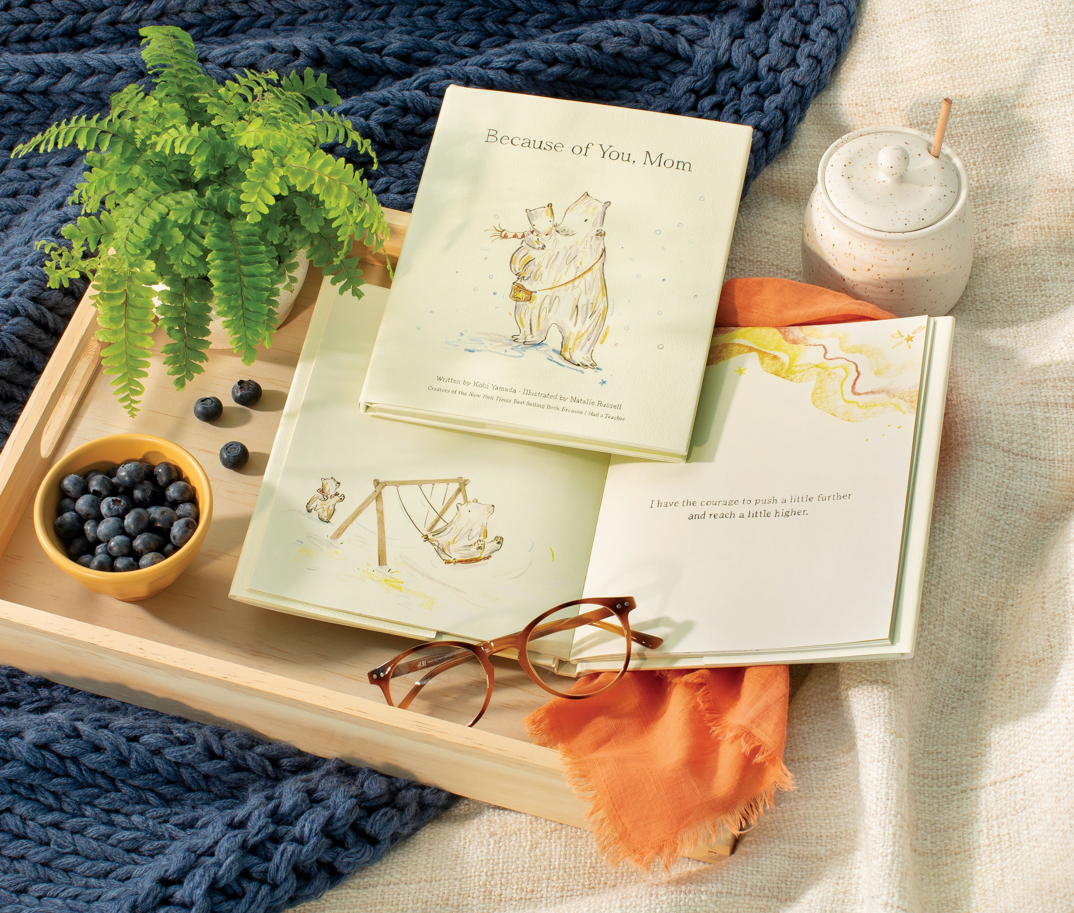 additional book photo