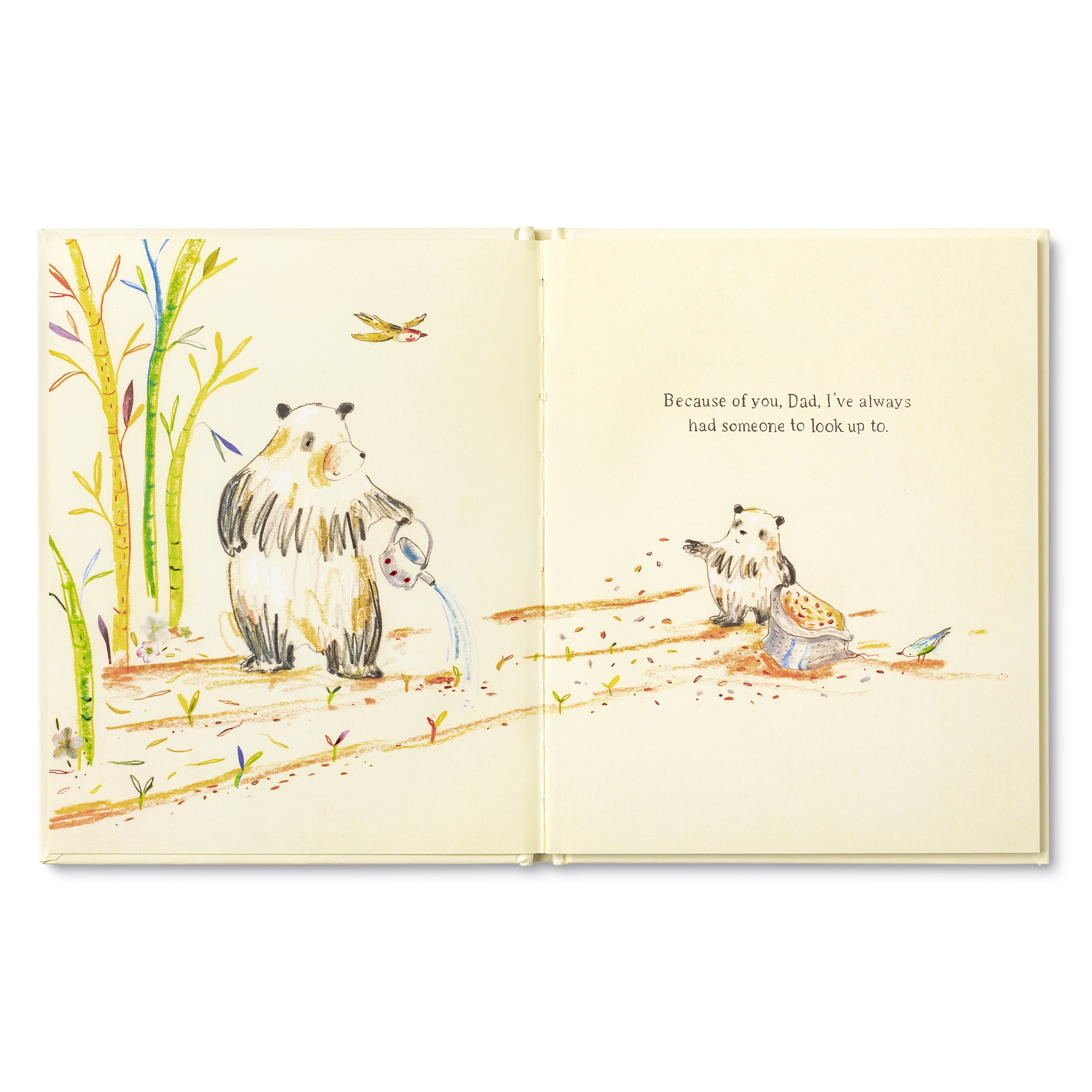 additional book photo