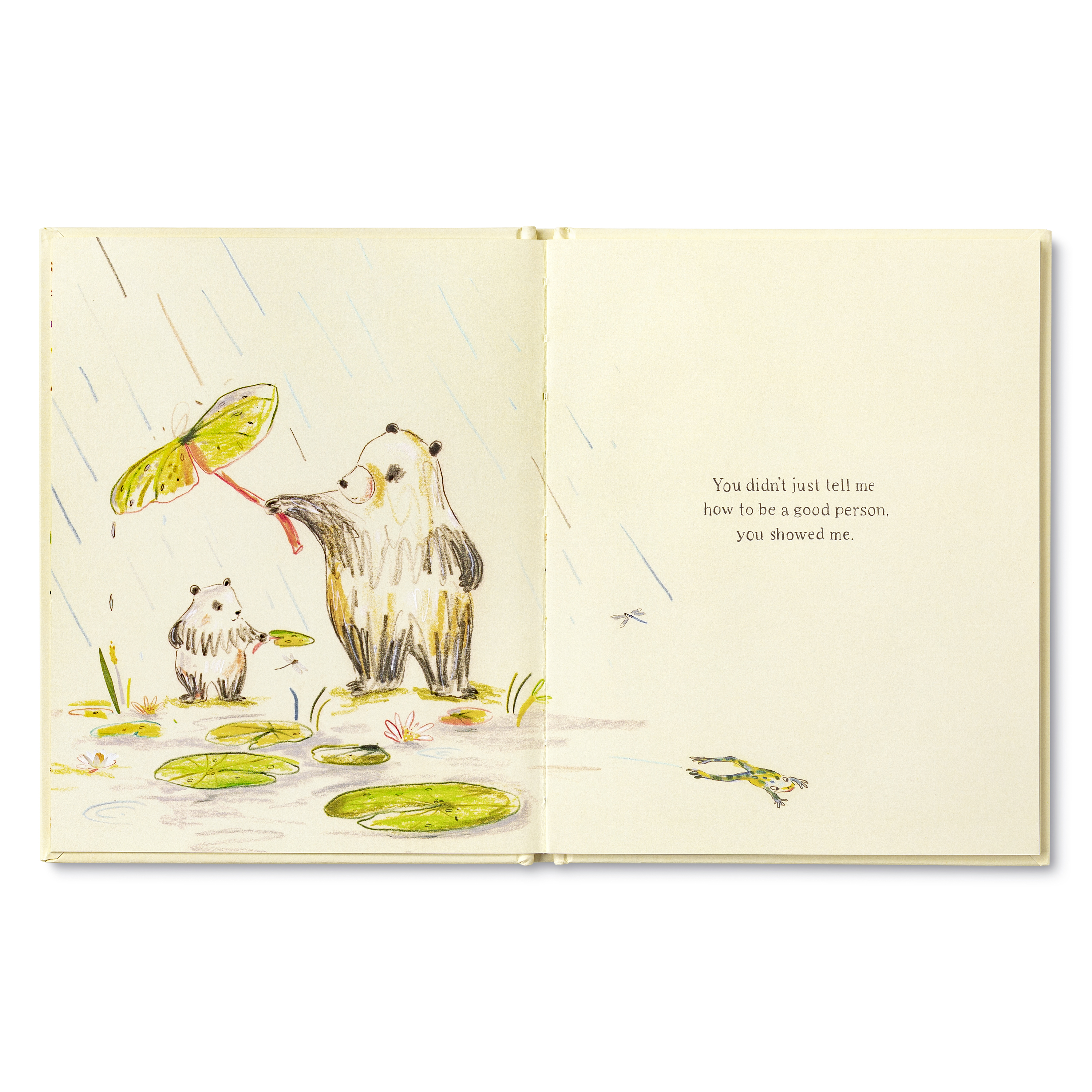 additional book photo