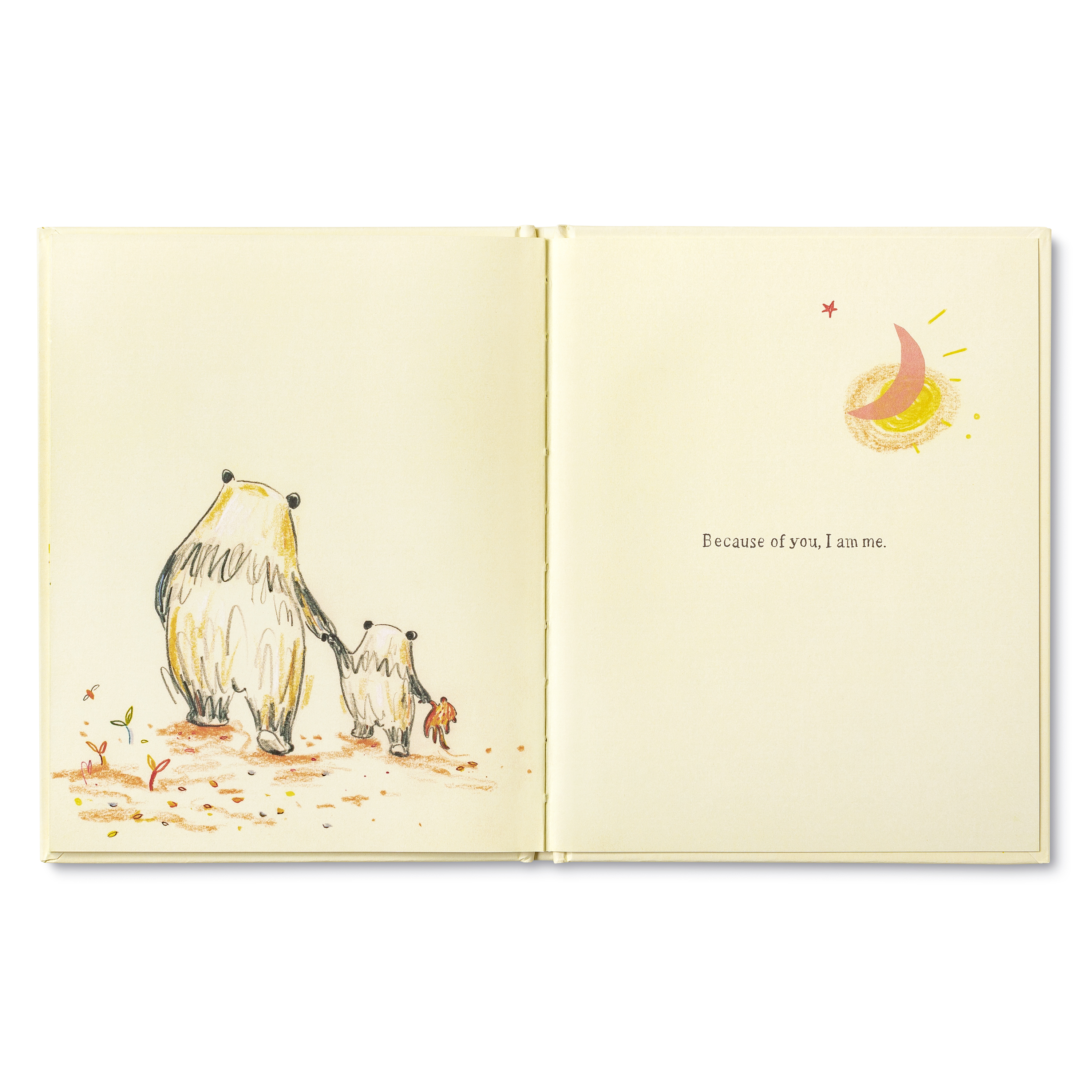additional book photo