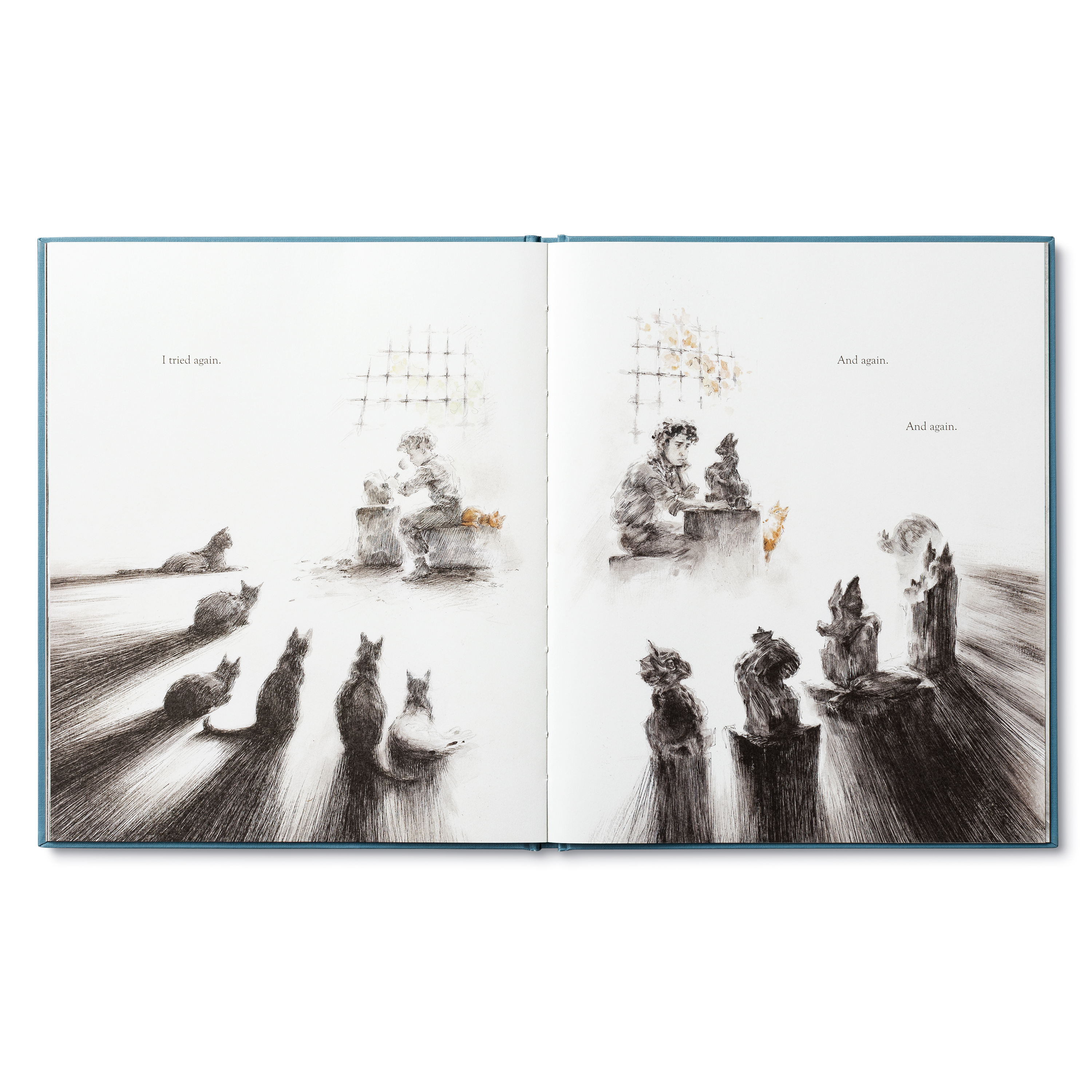 additional book photo