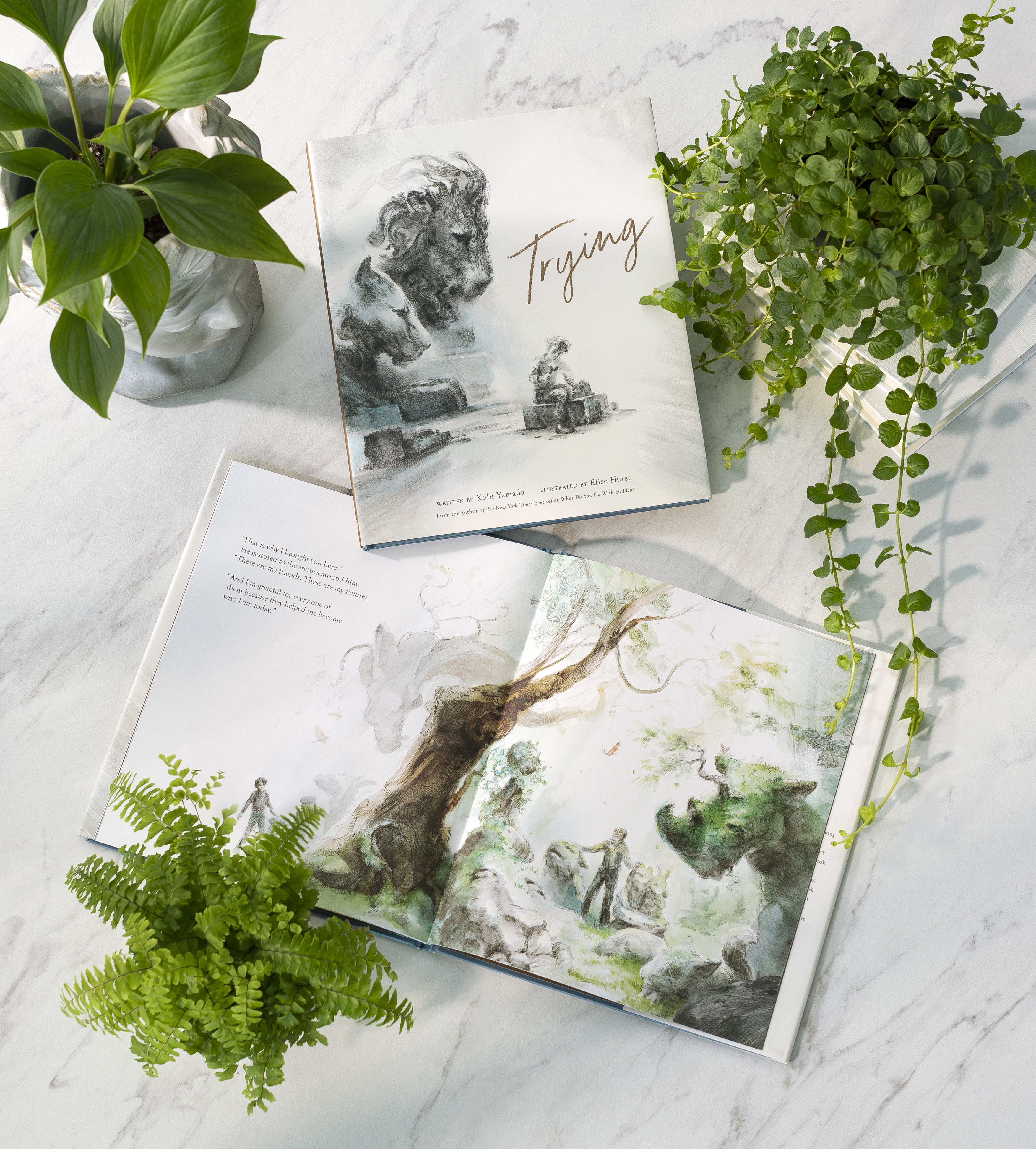 additional book photo