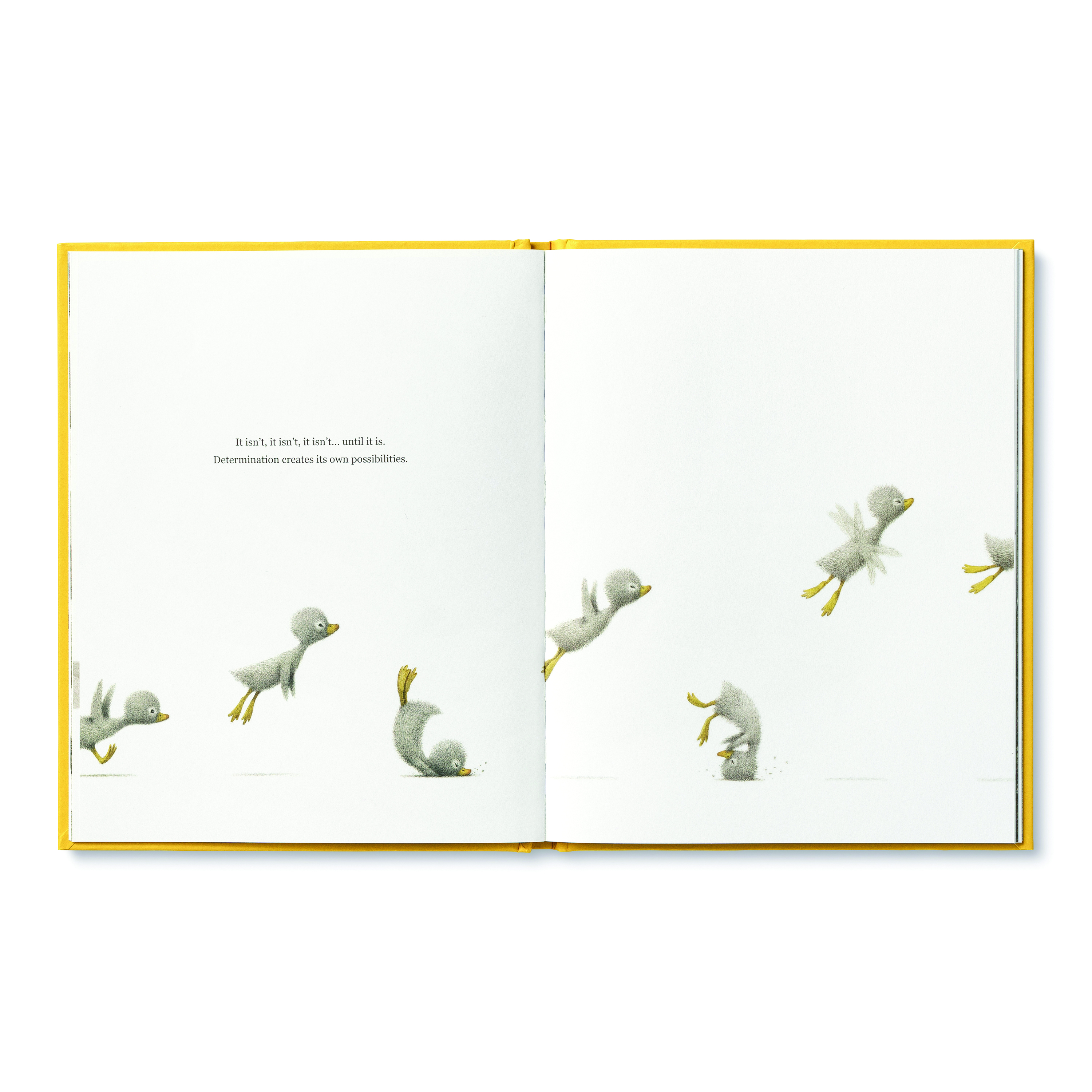 additional book photo