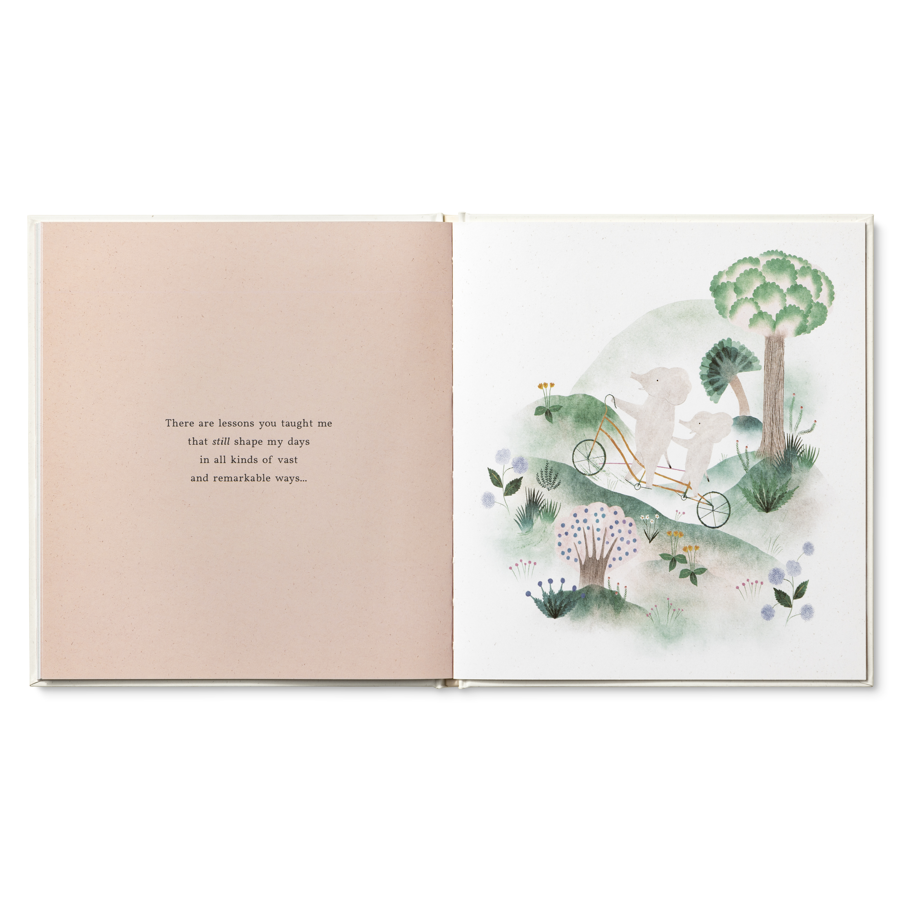 additional book photo