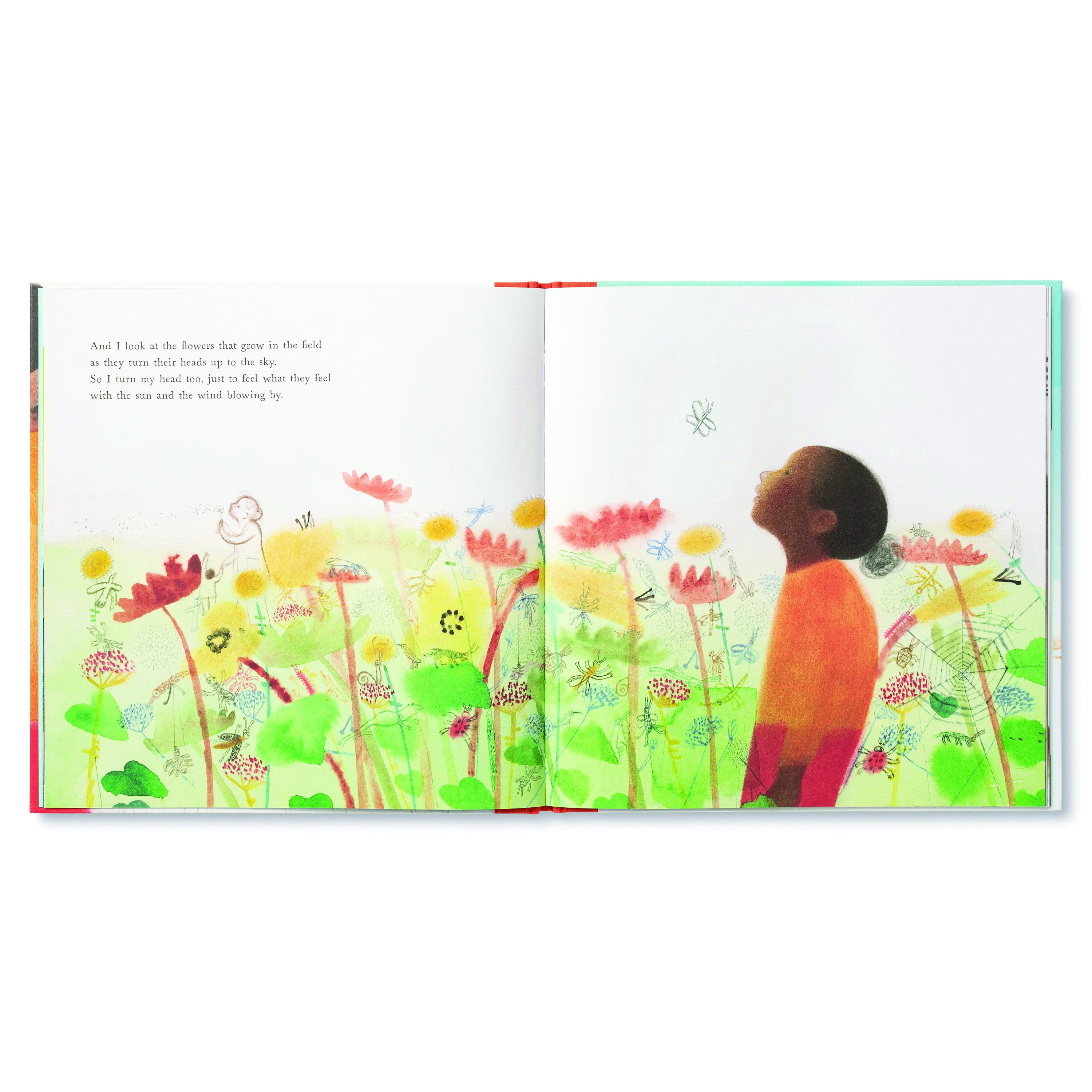 additional book photo