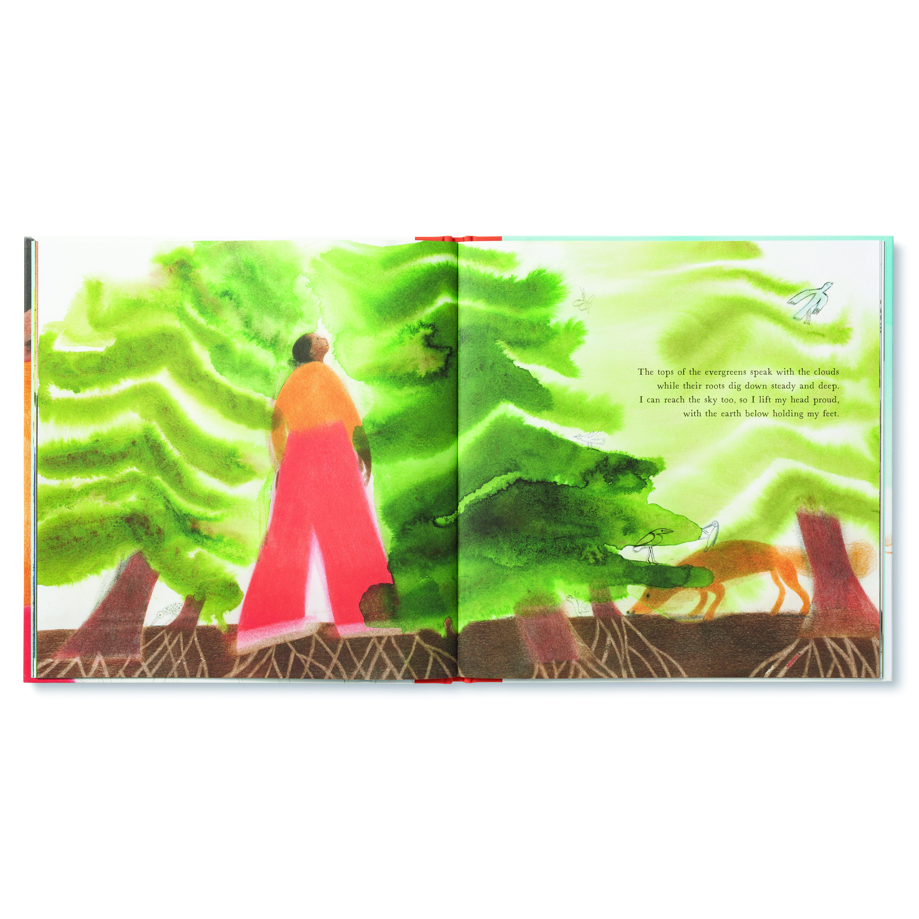 additional book photo