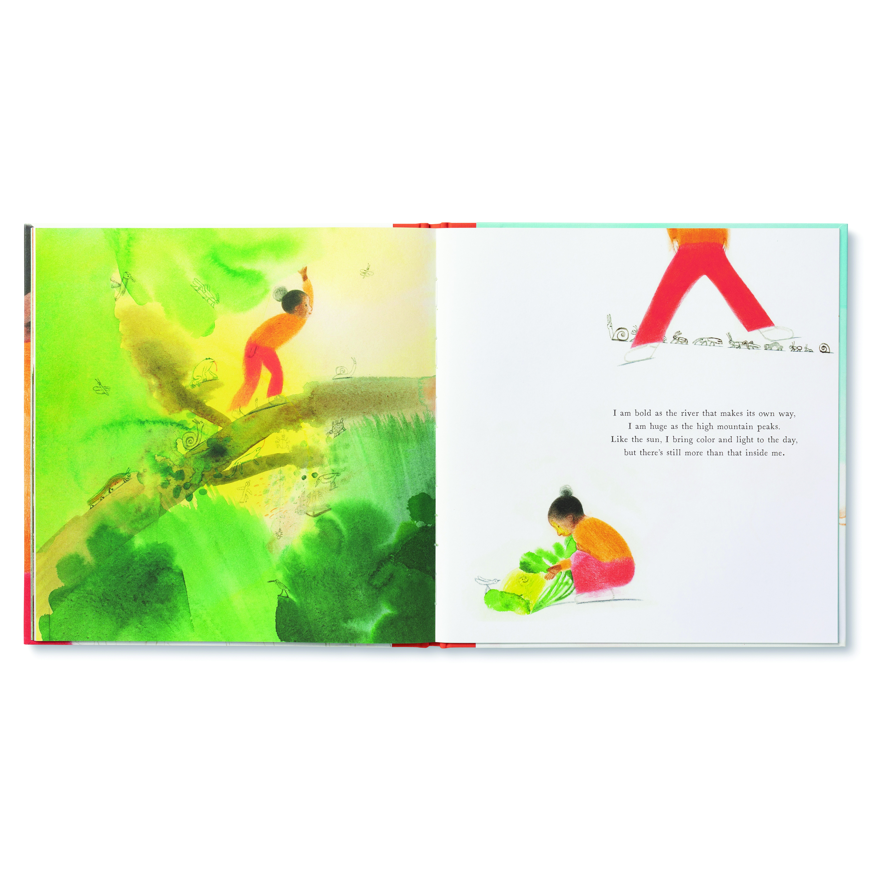 additional book photo