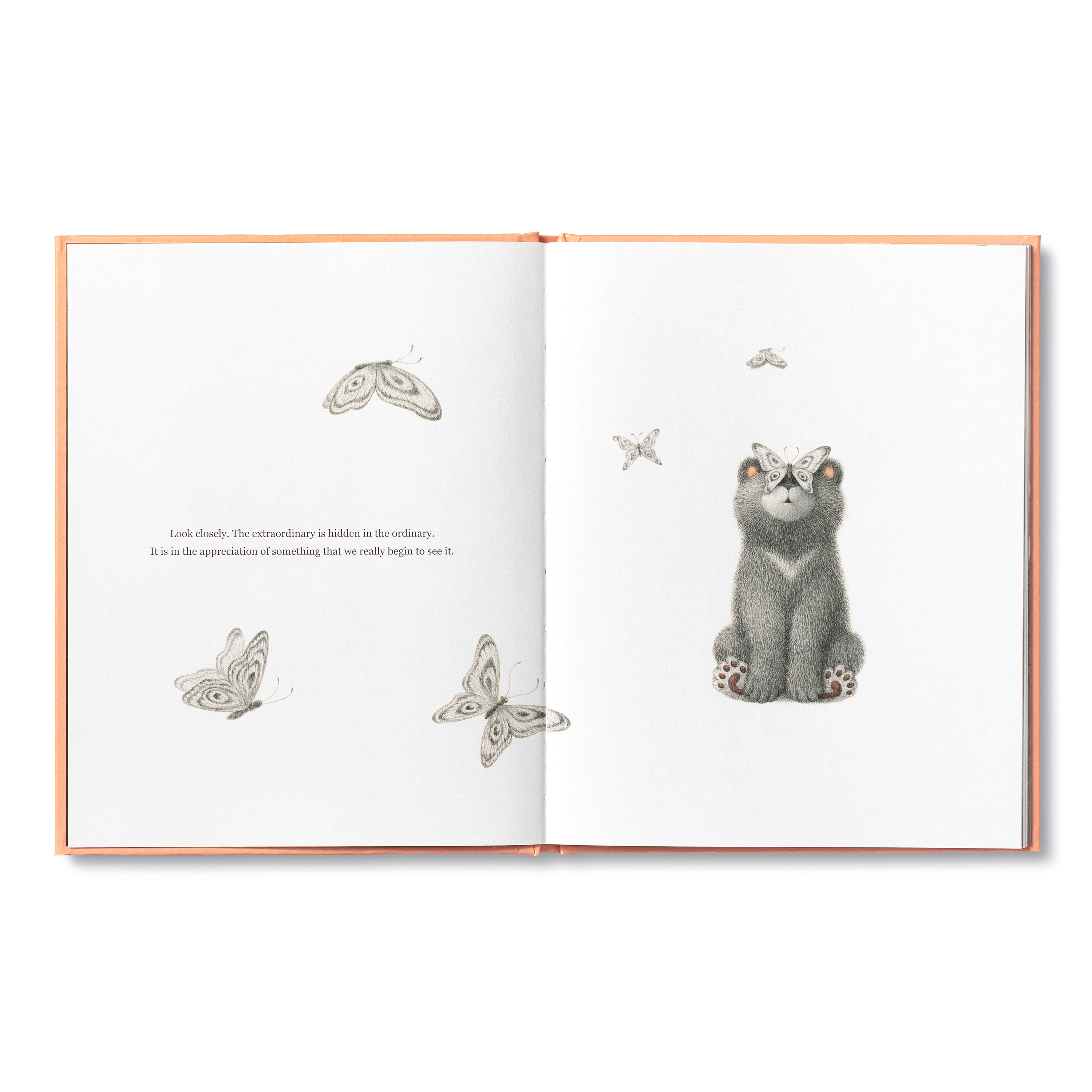 additional book photo