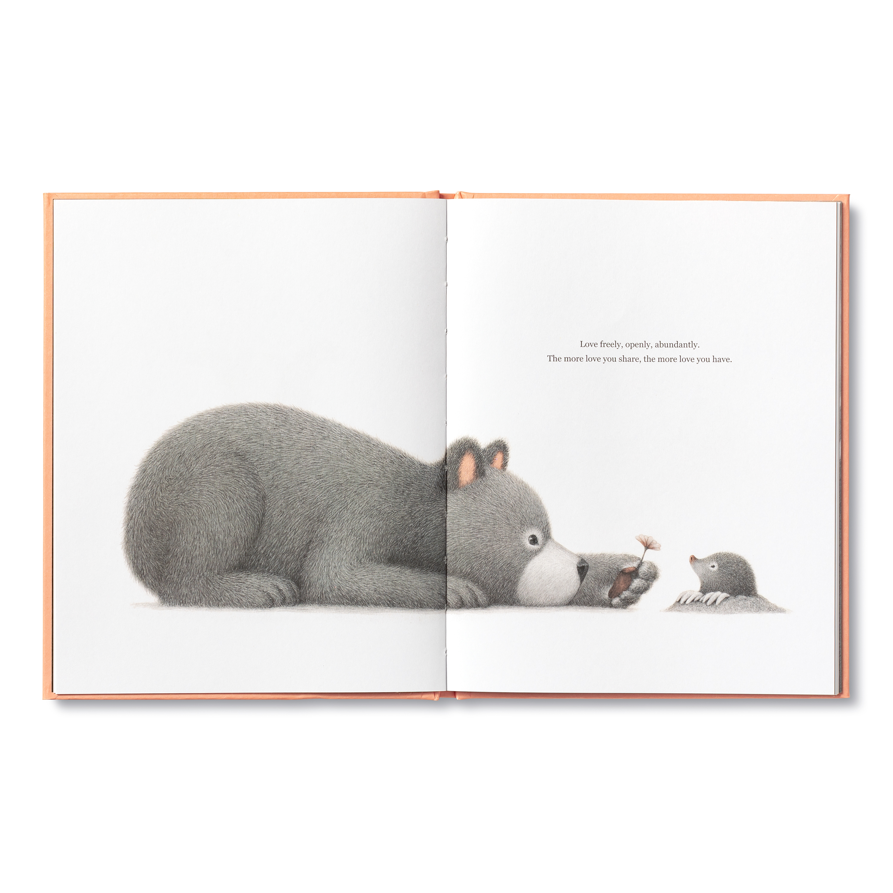 additional book photo