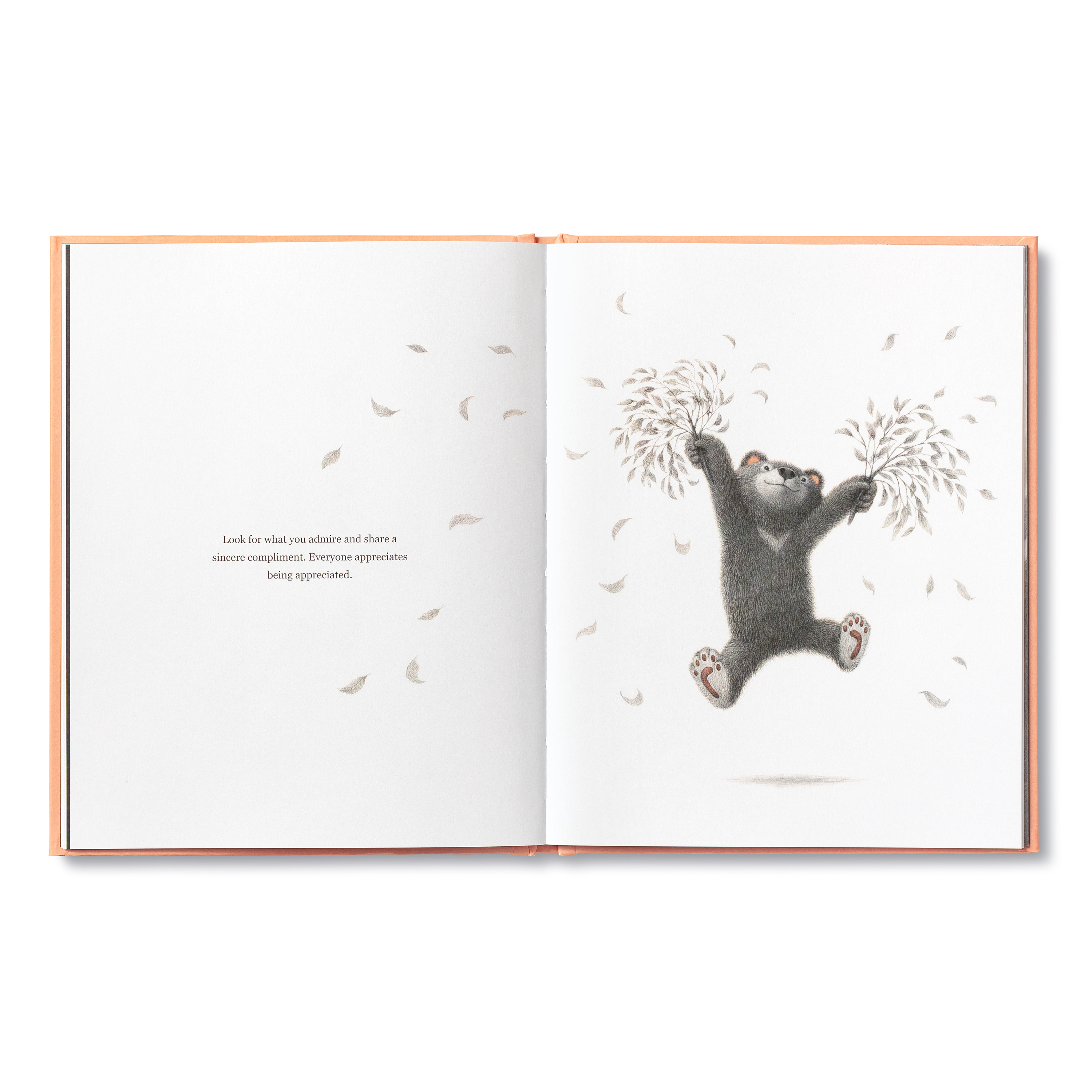 additional book photo