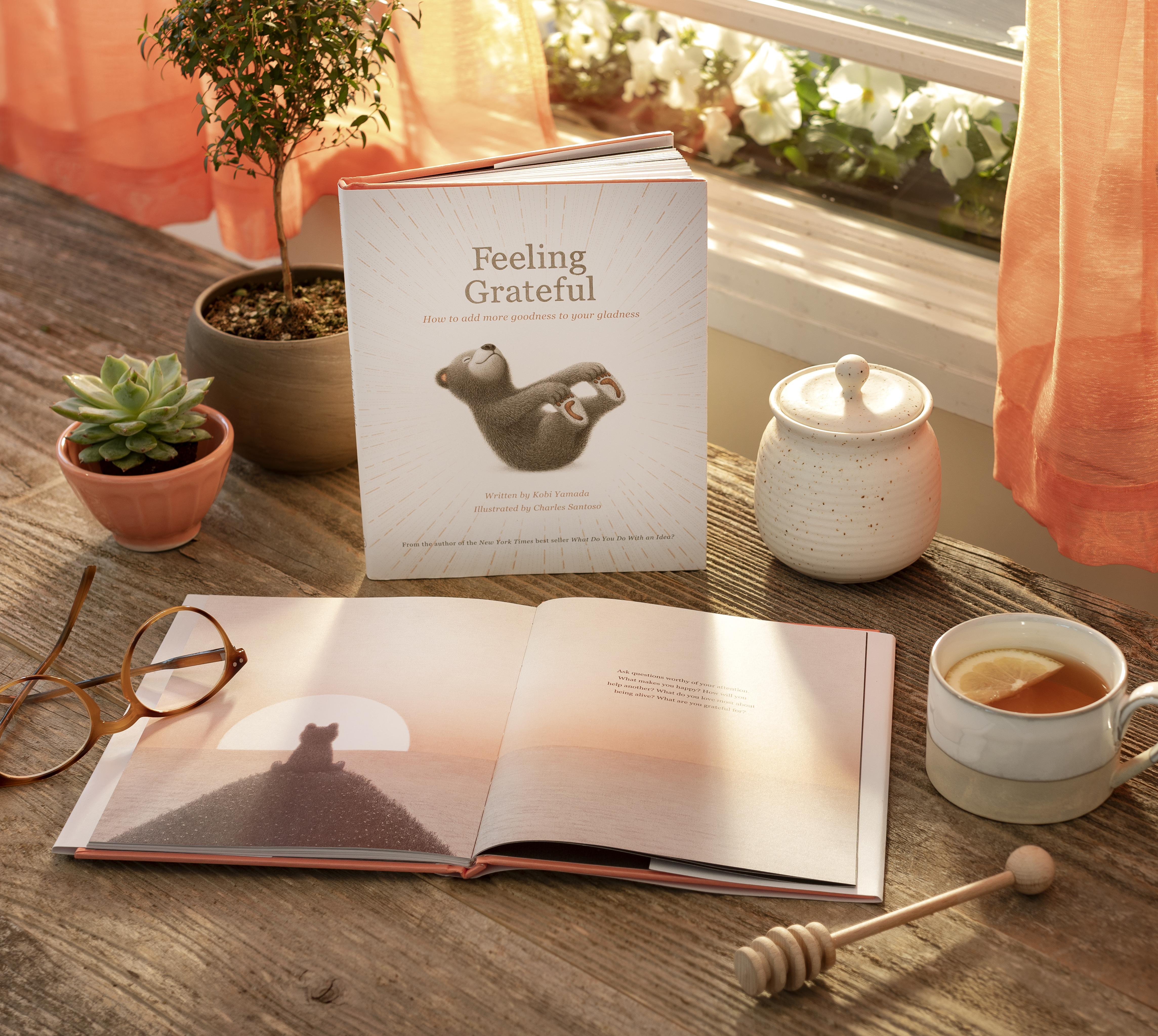 additional book photo