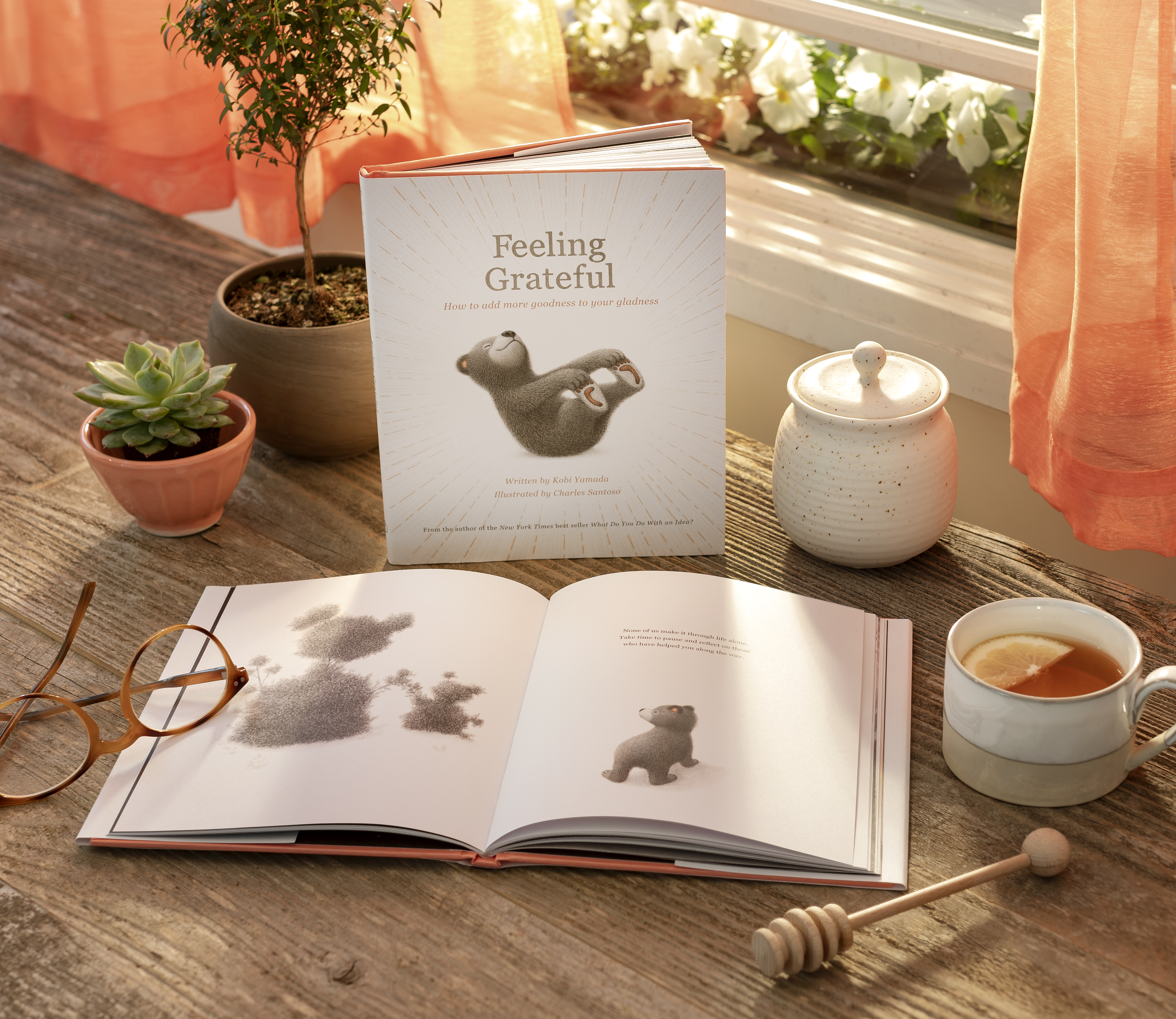 additional book photo