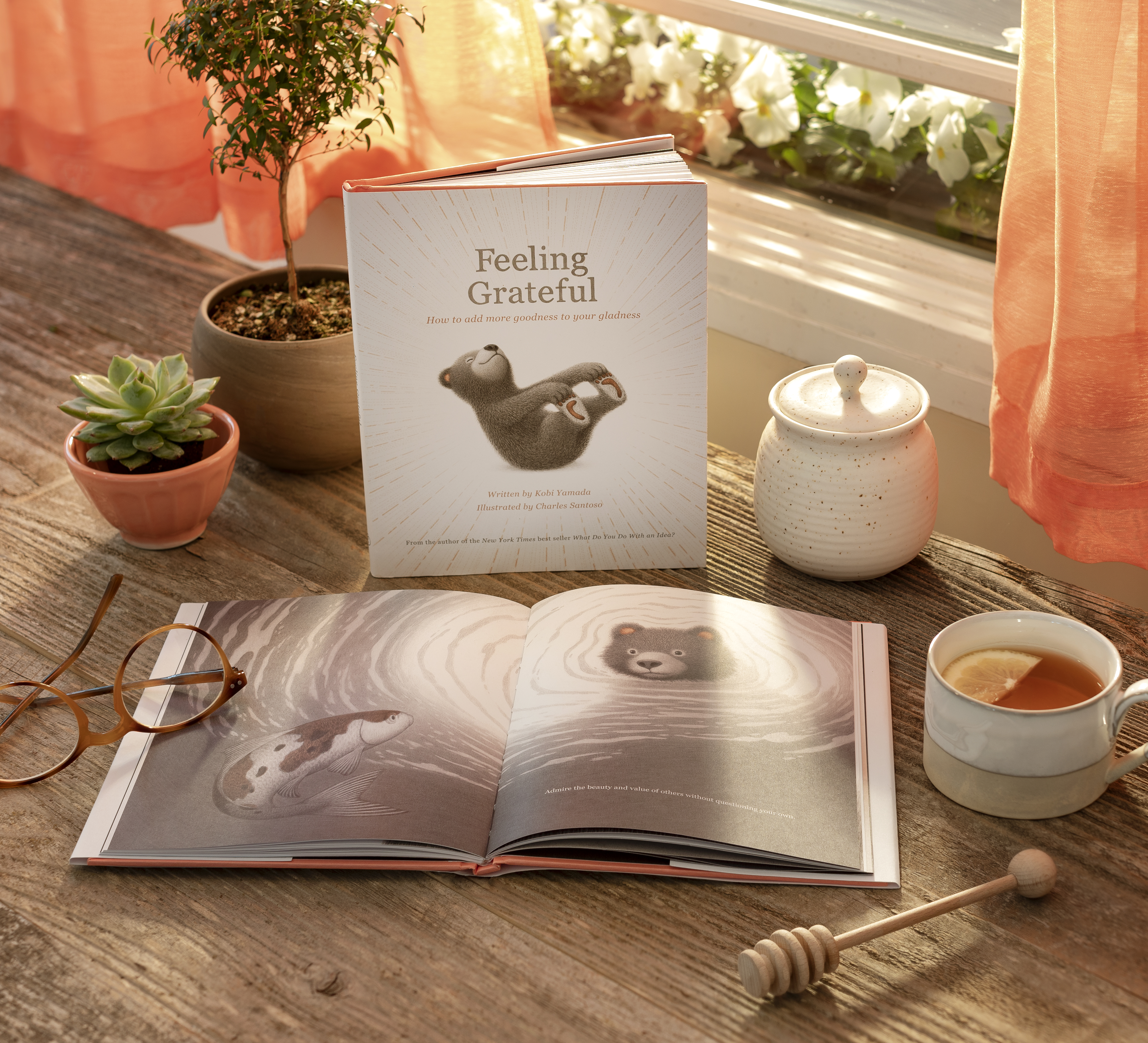 additional book photo