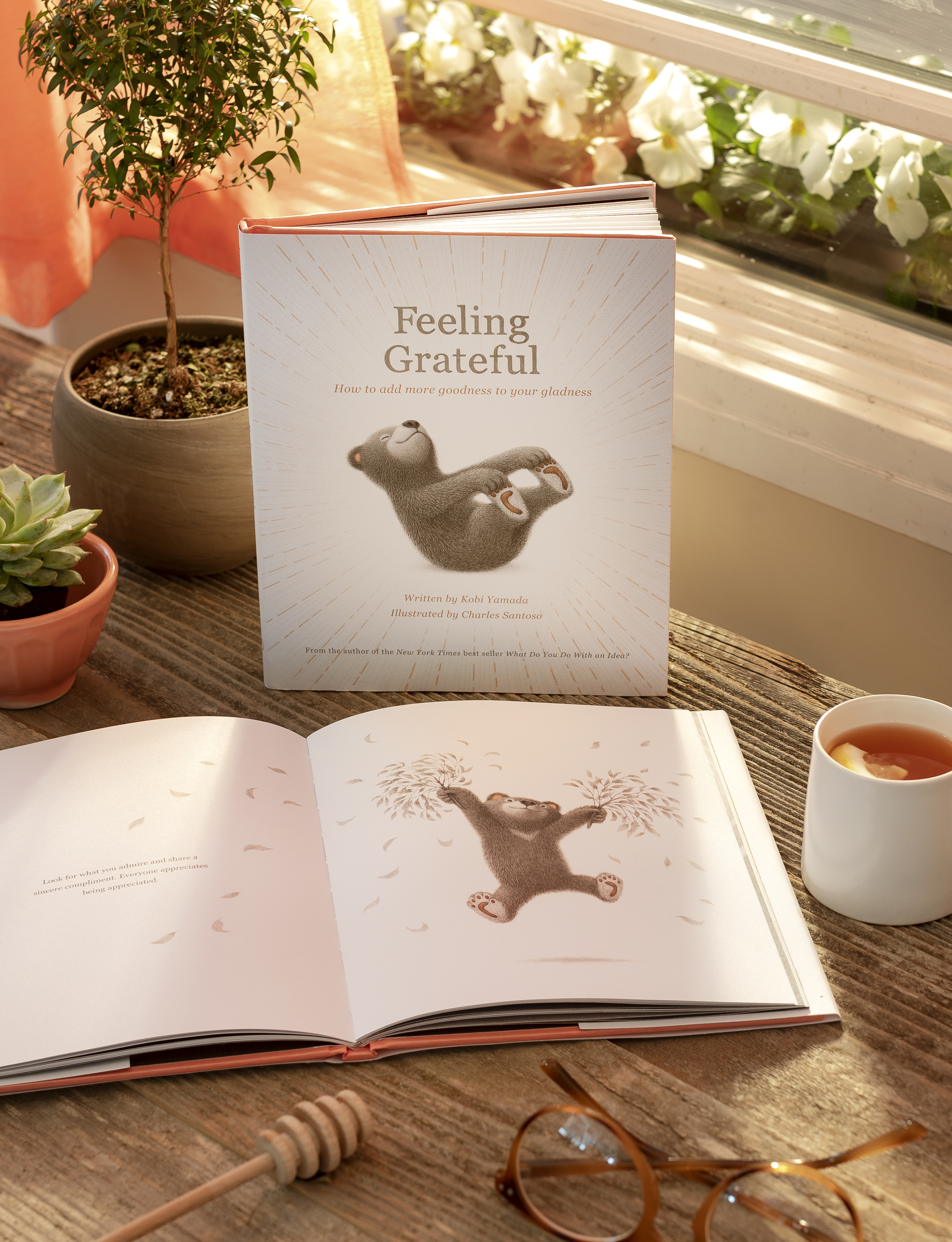 additional book photo