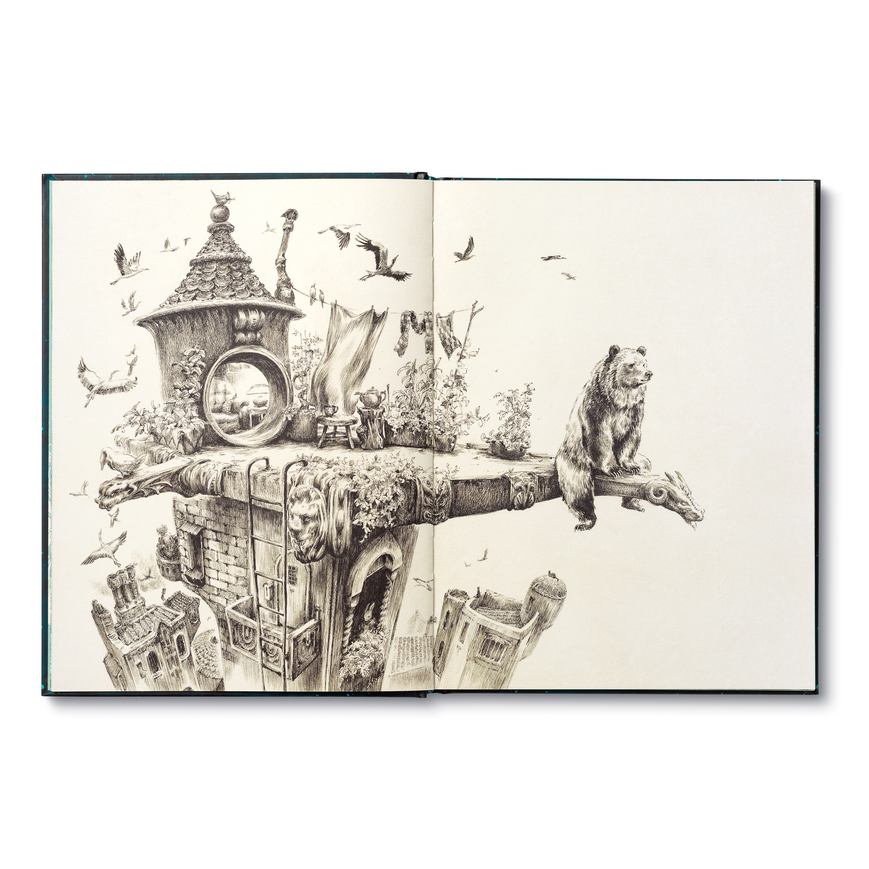 additional book photo