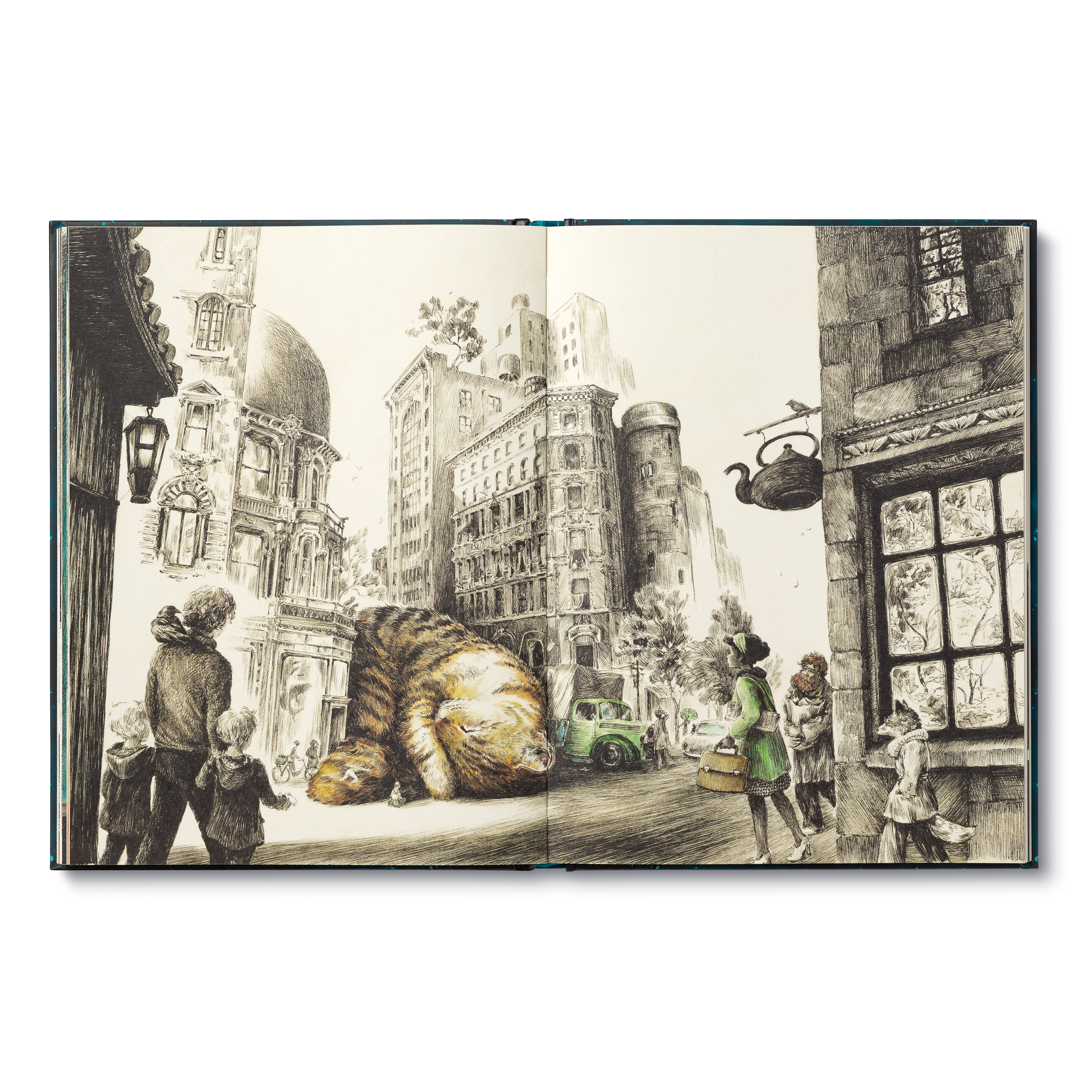 additional book photo