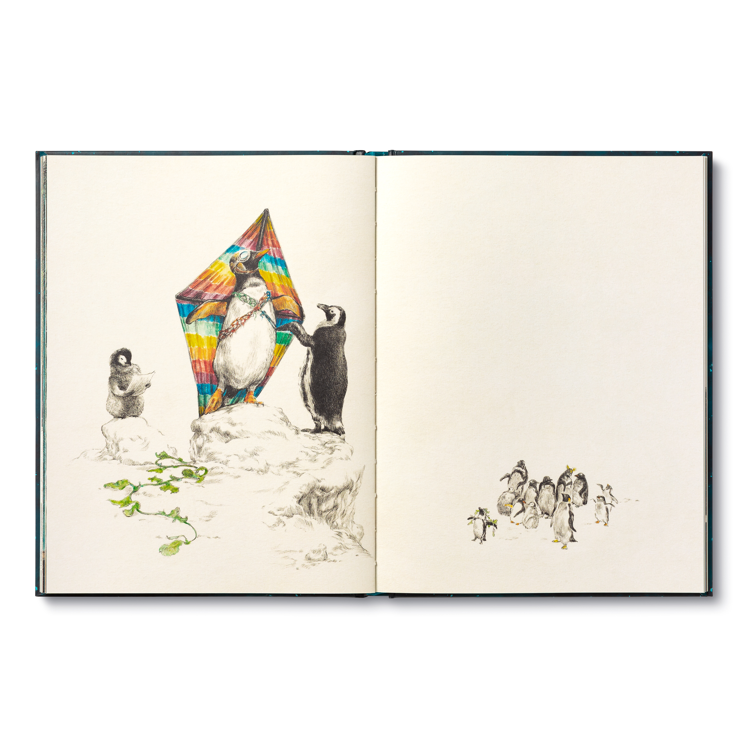 additional book photo