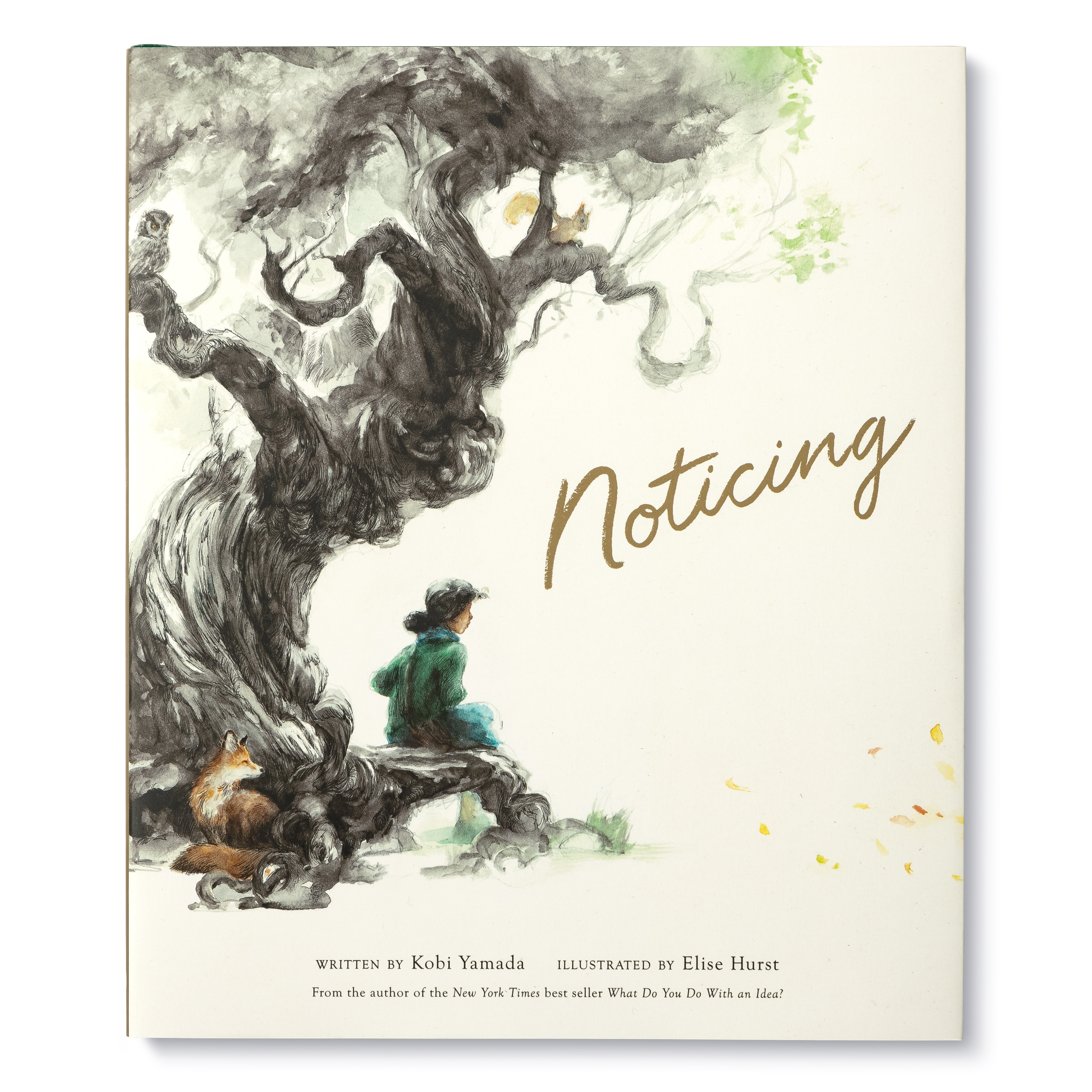 additional book photo