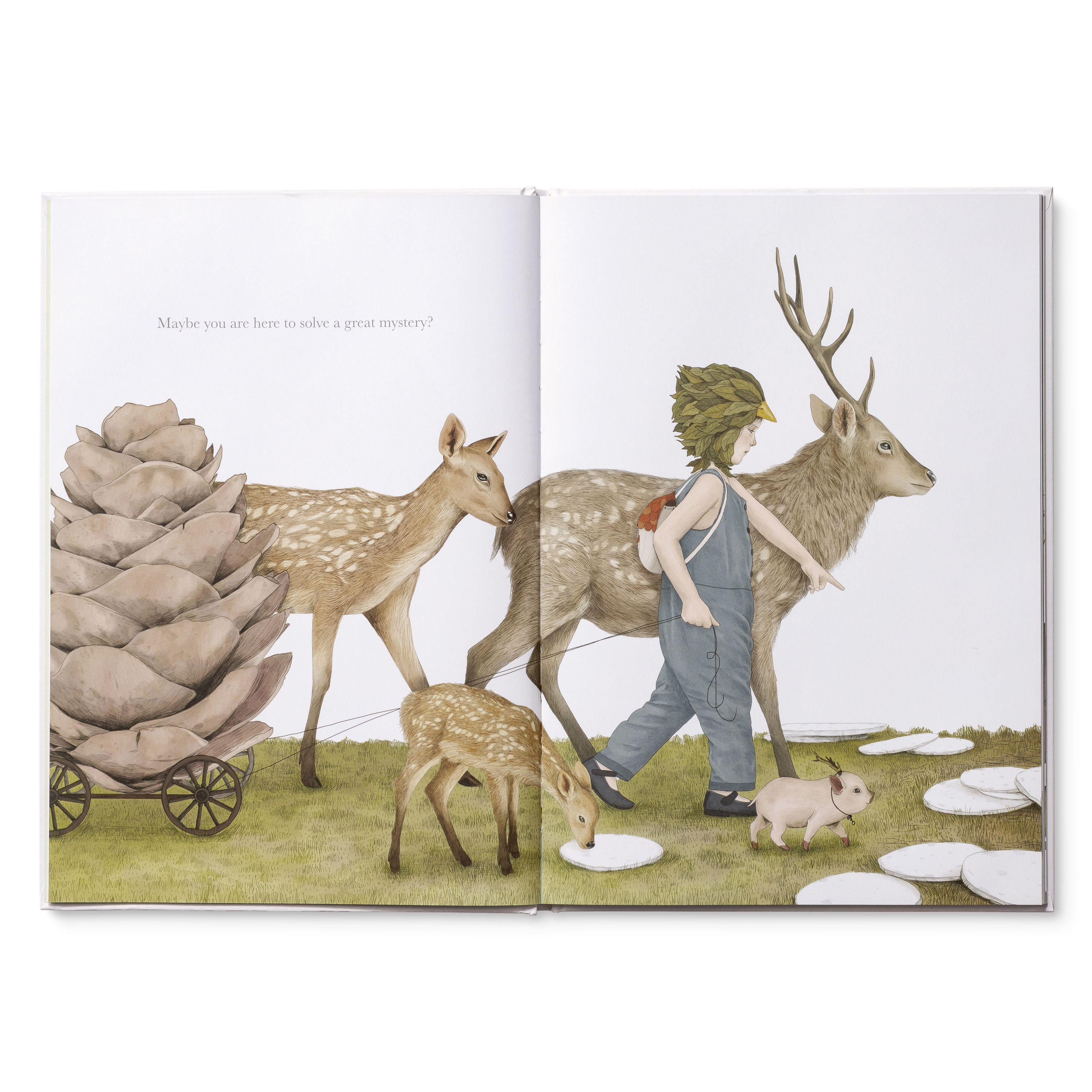 additional book photo