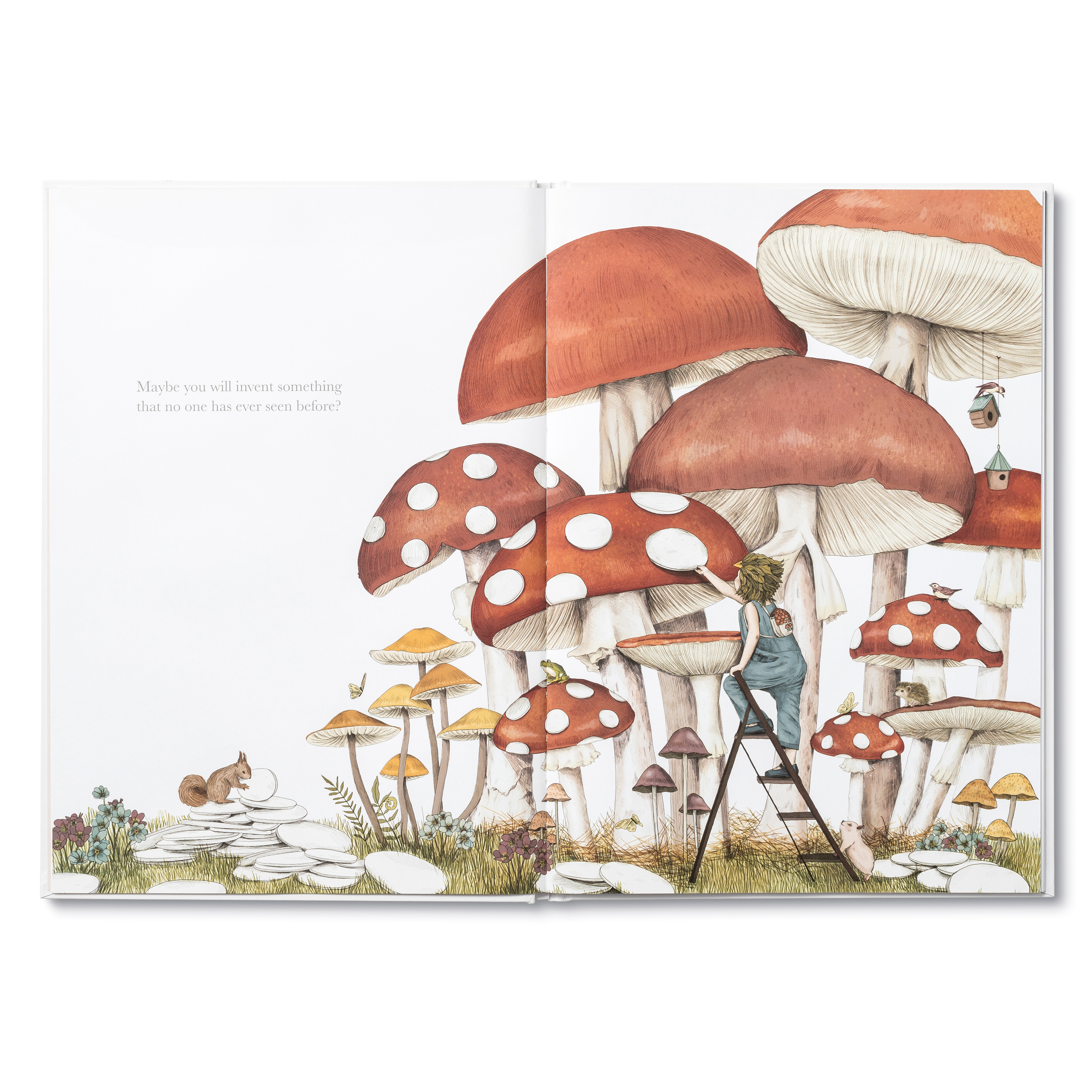 additional book photo