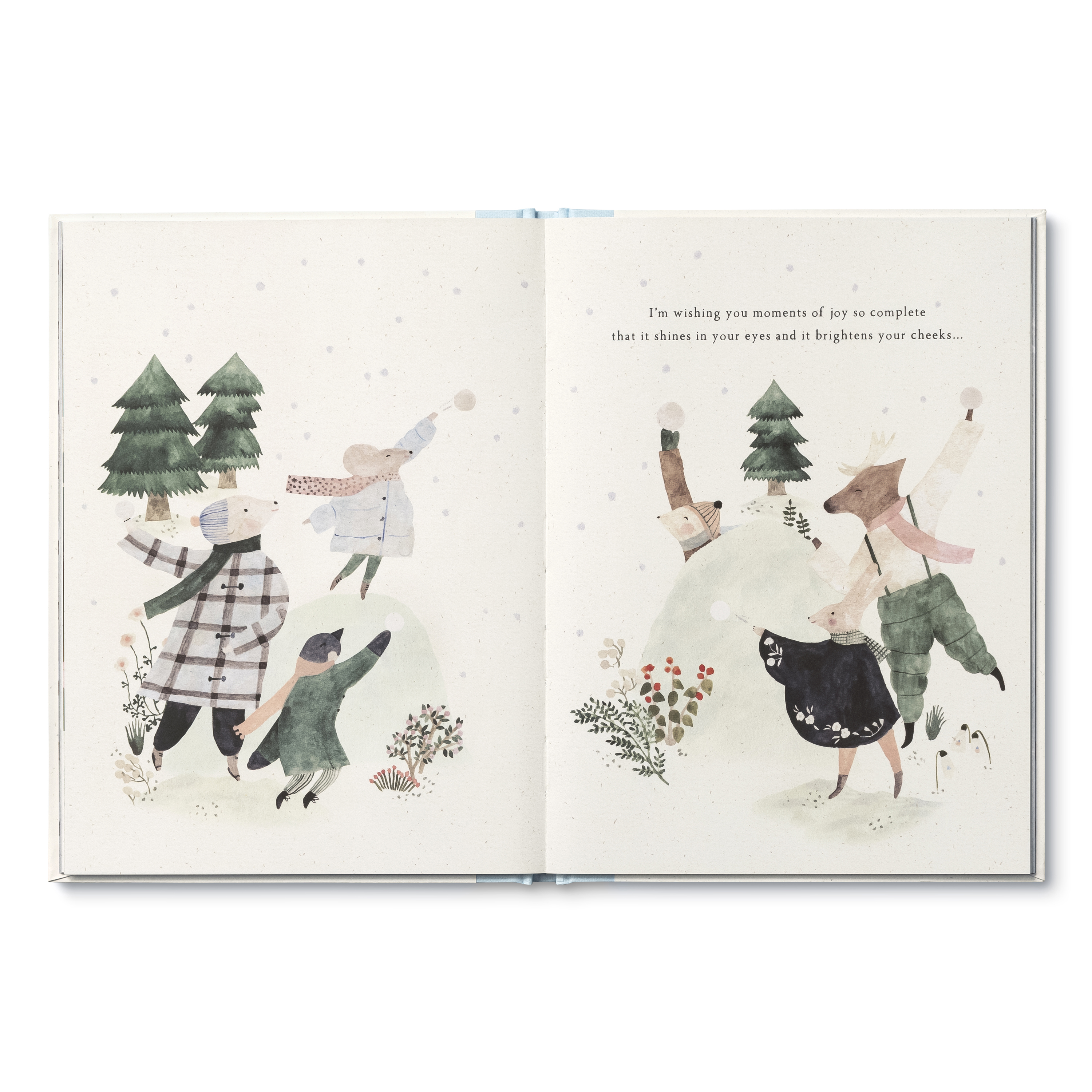additional book photo