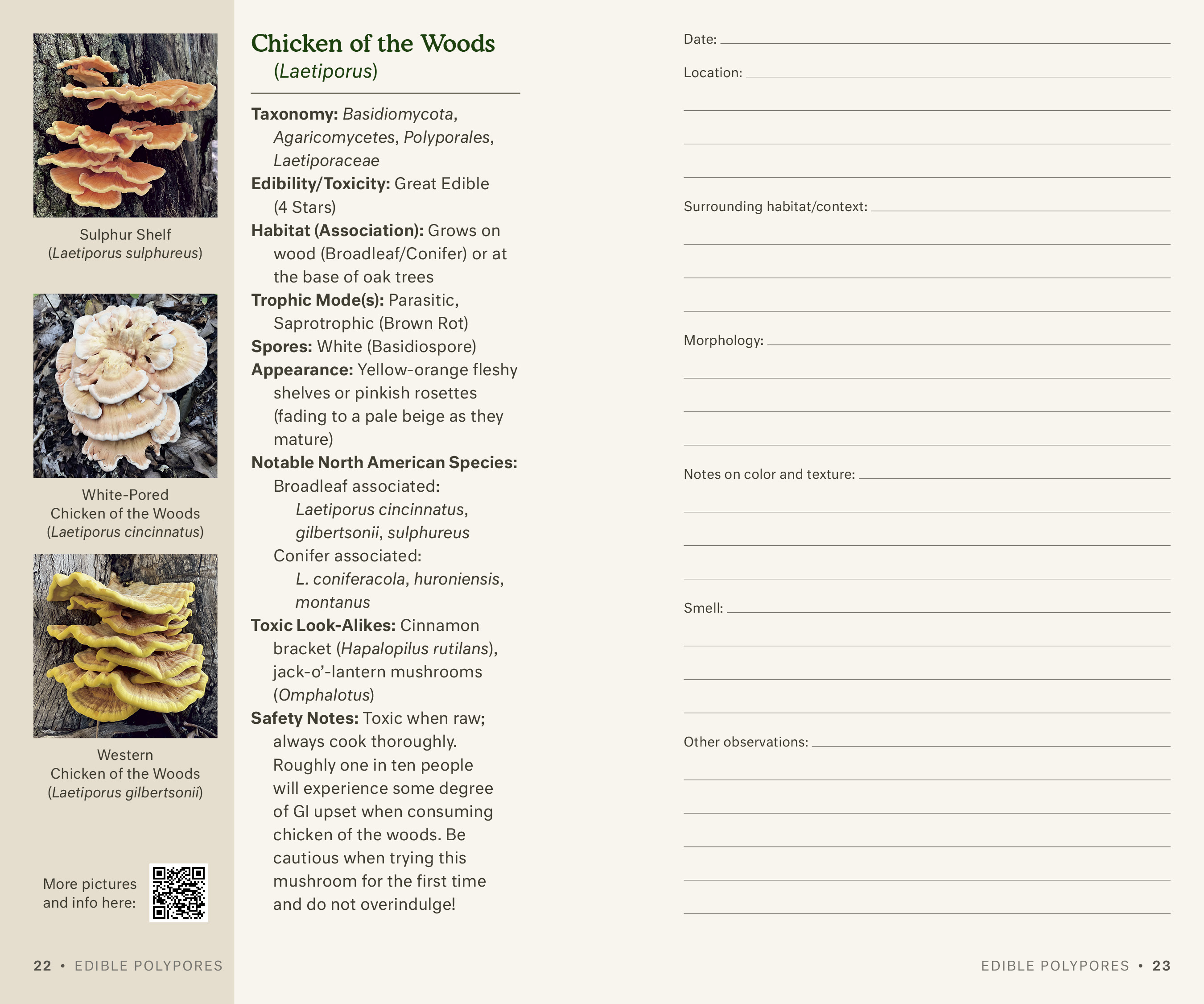 additional book photo