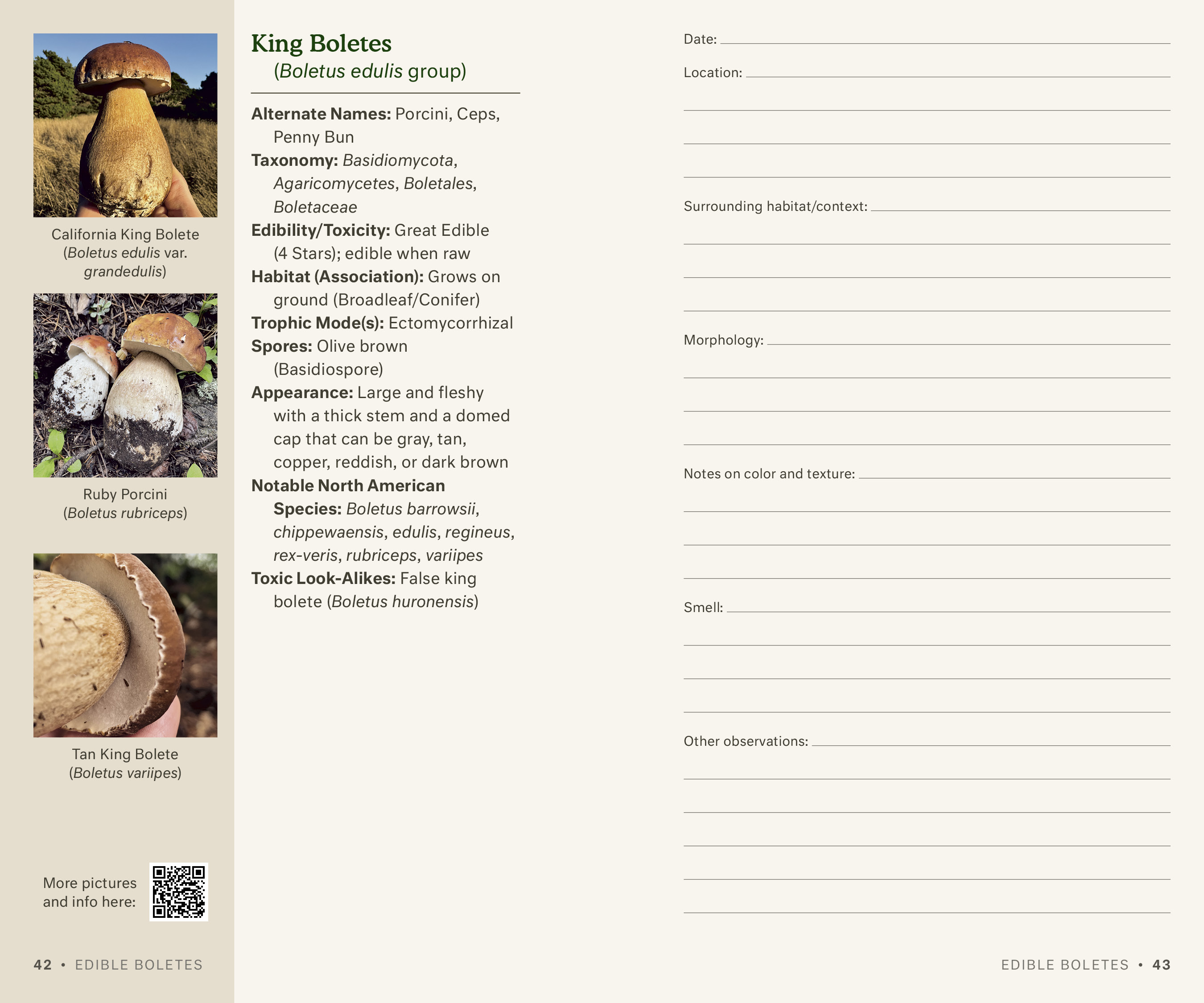 additional book photo