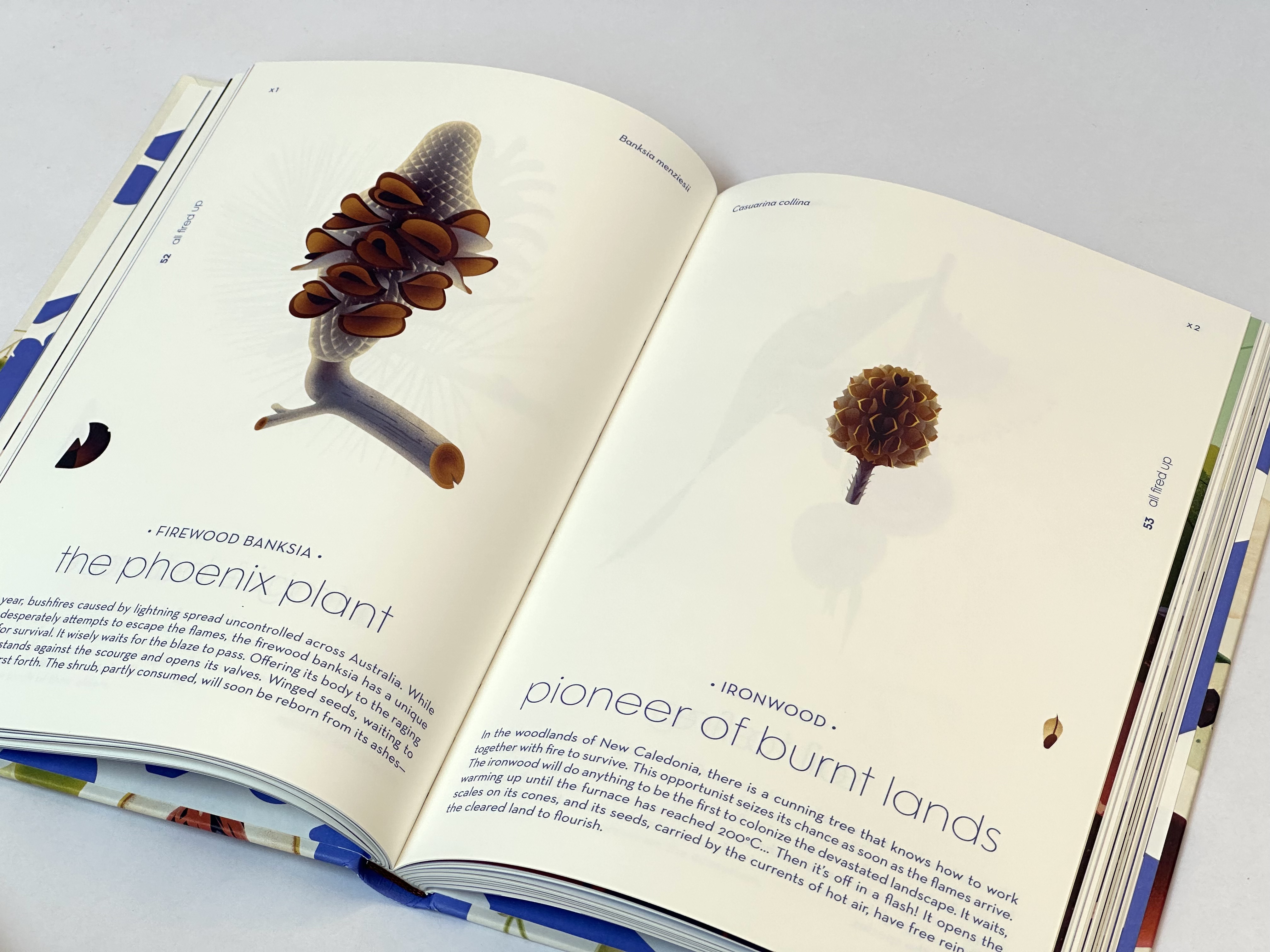 additional book photo