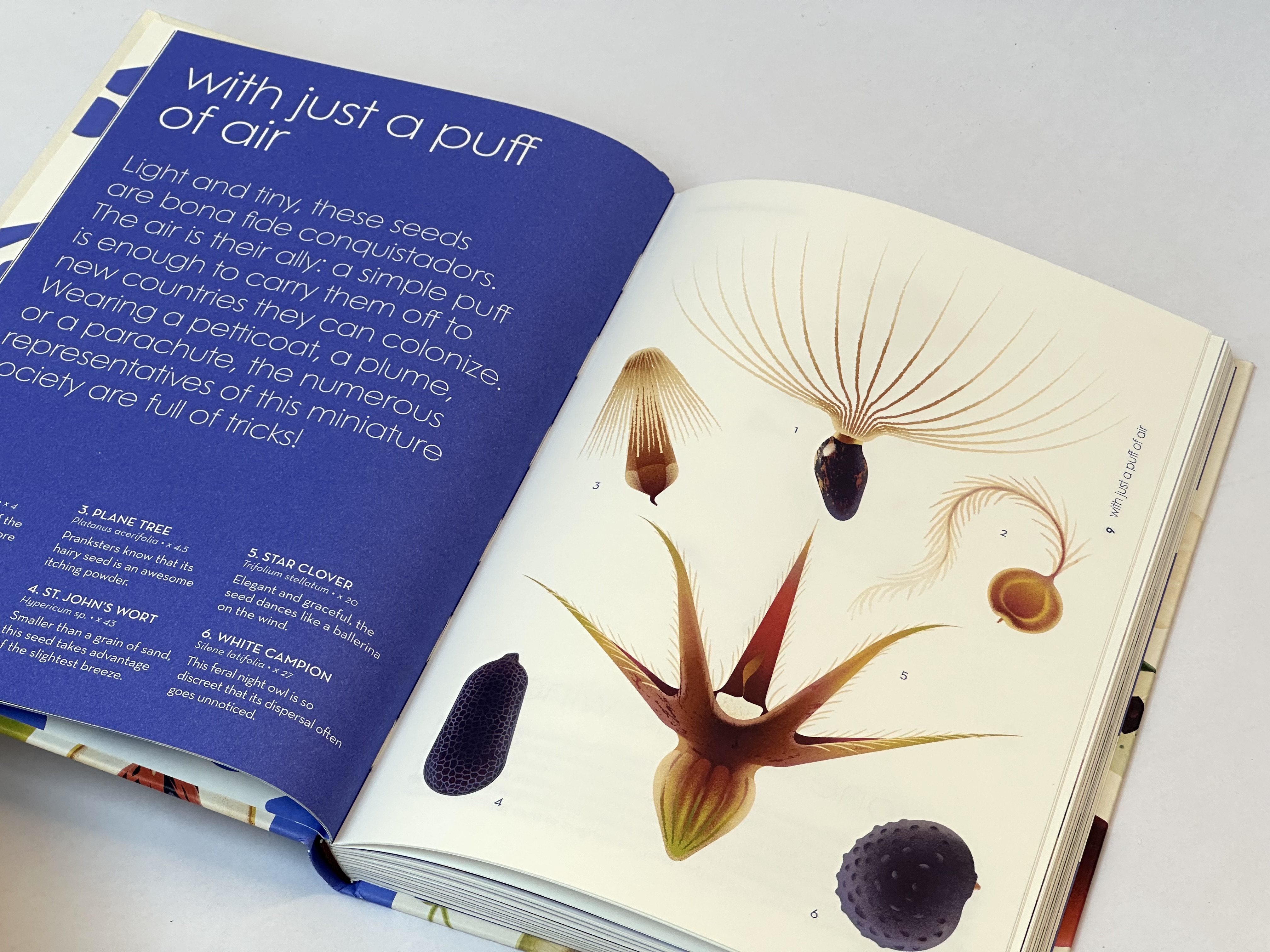 additional book photo