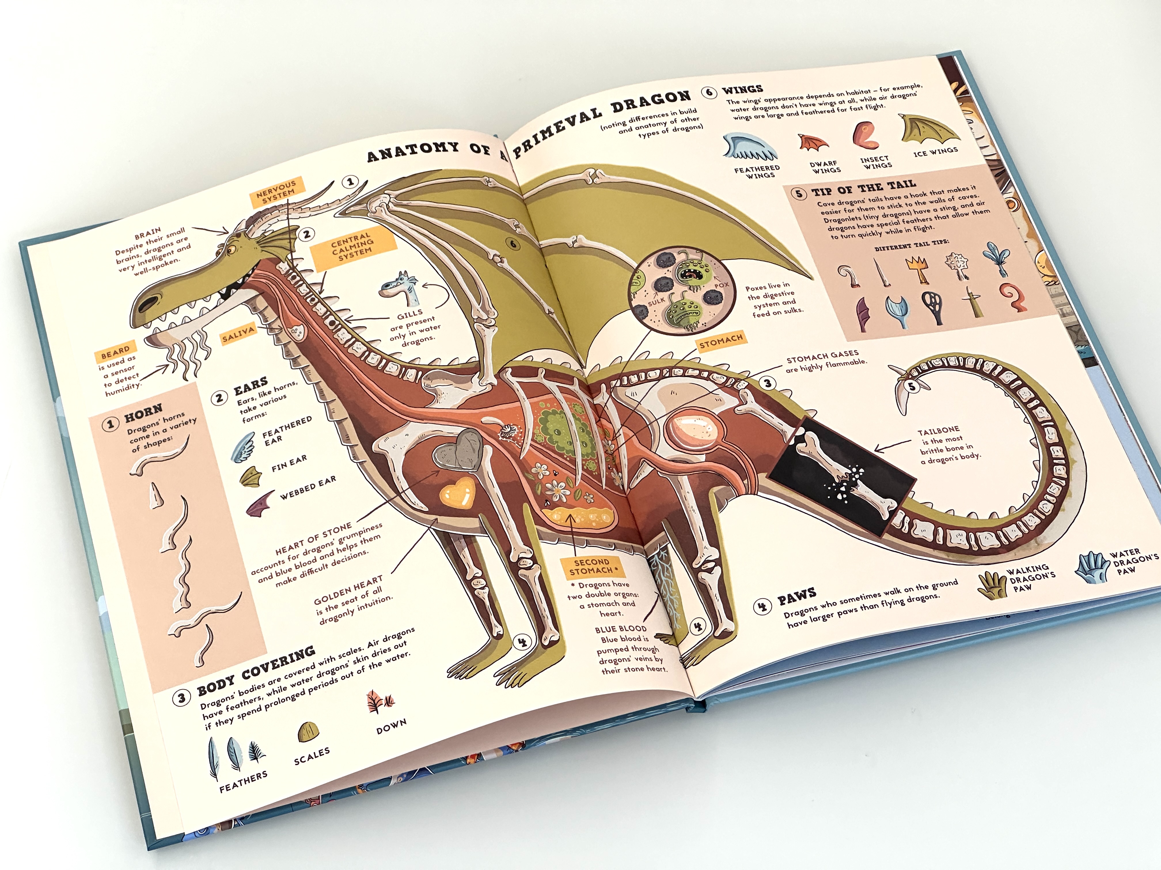 additional book photo