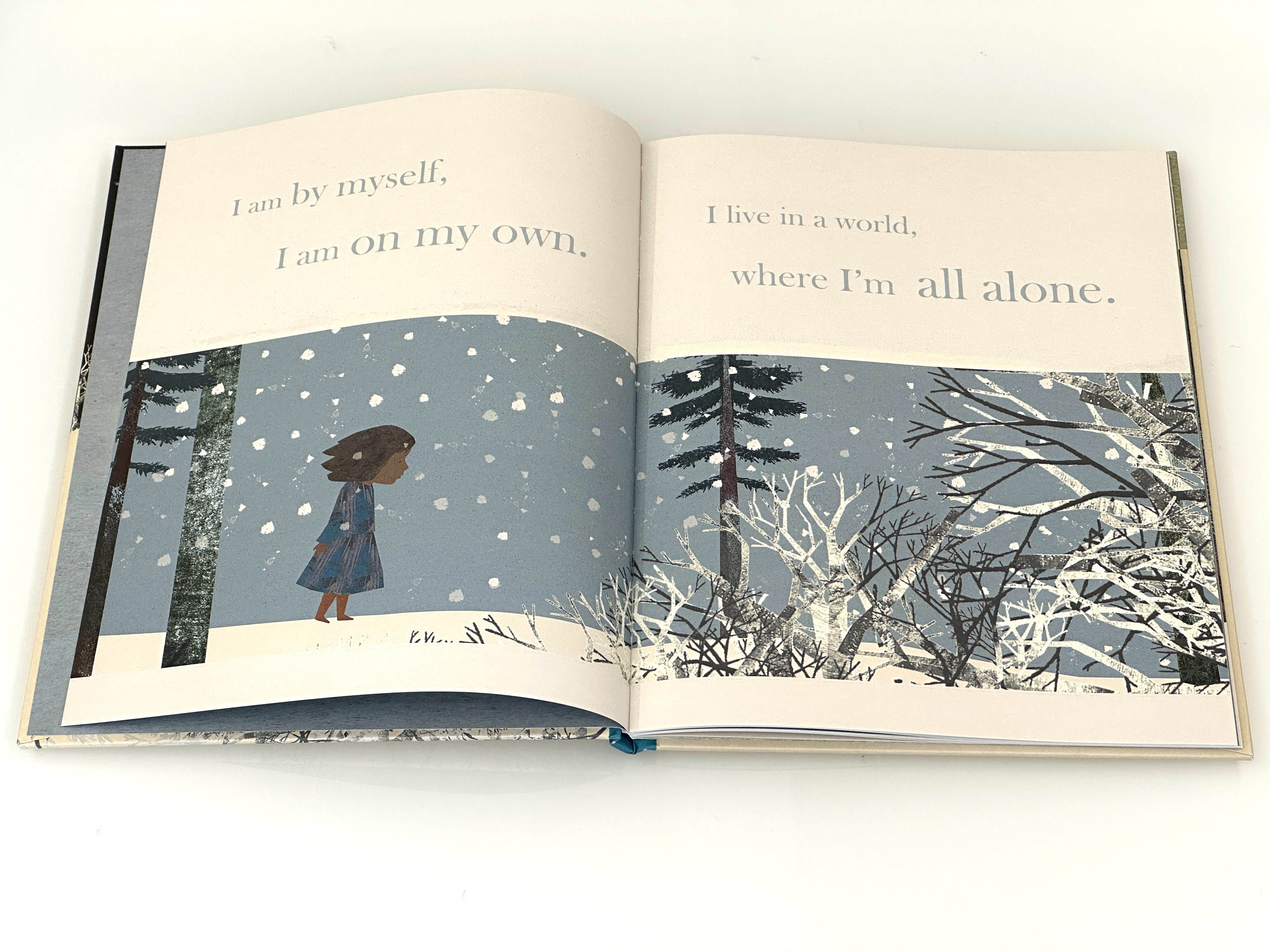 additional book photo