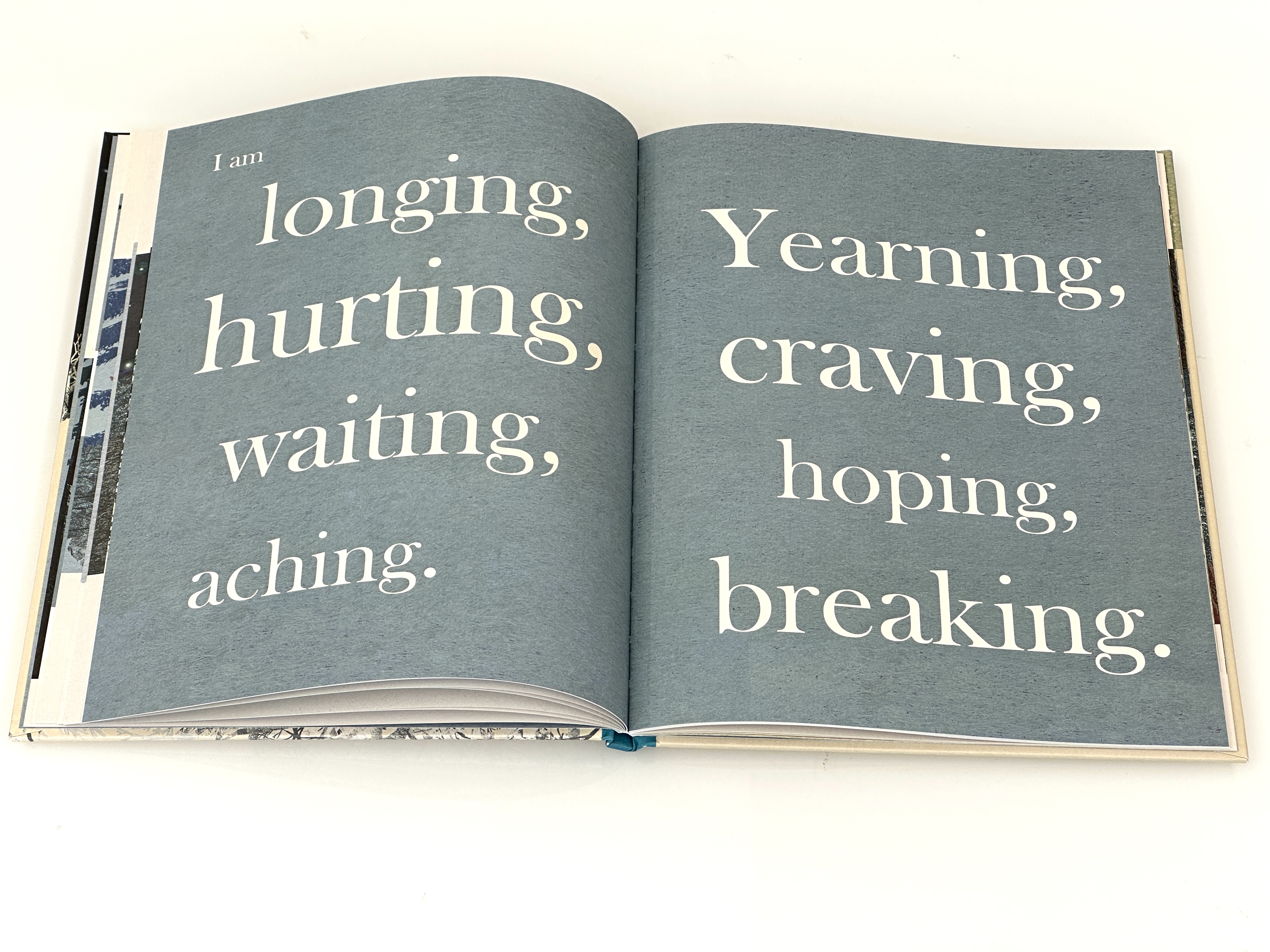 additional book photo