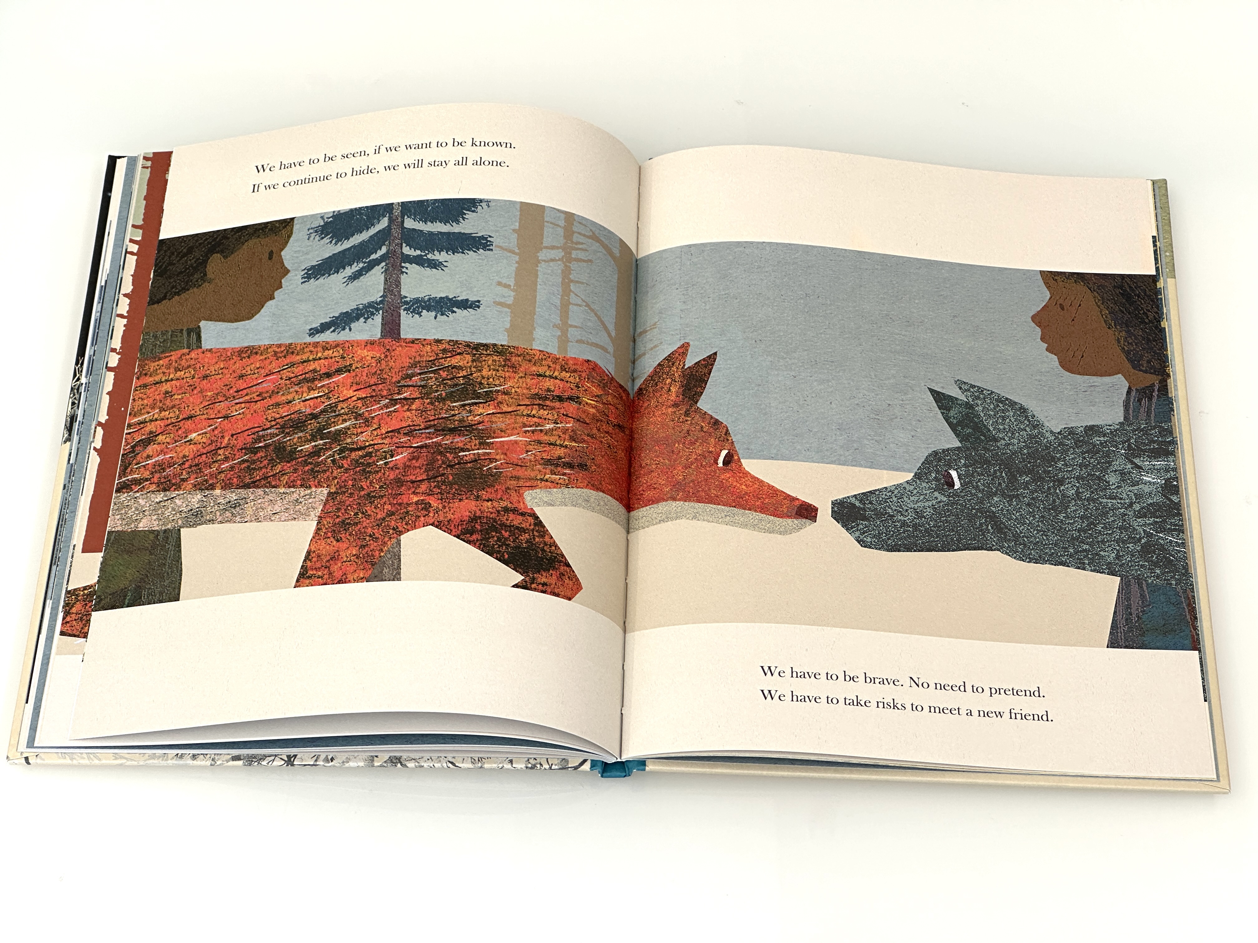 additional book photo