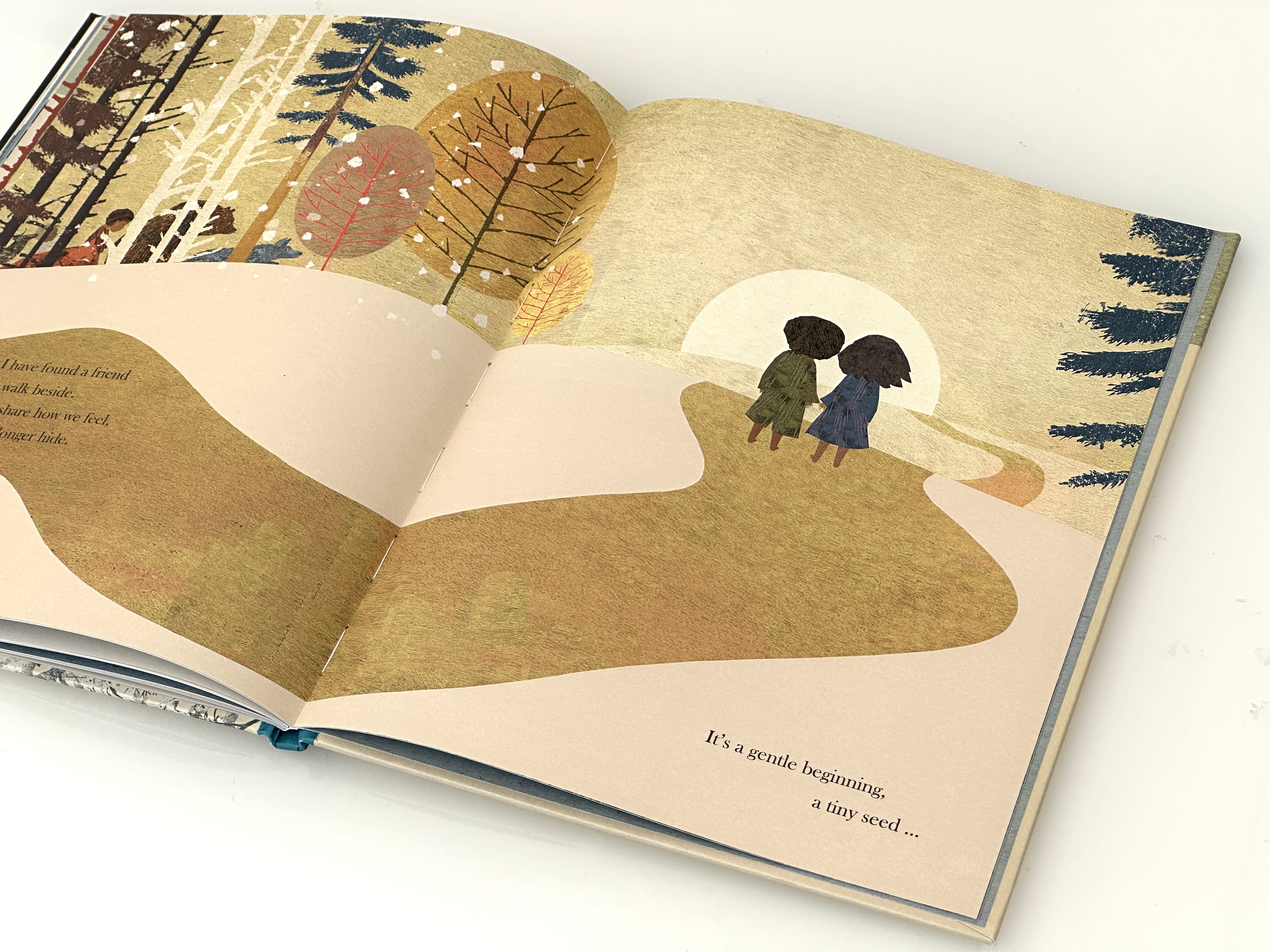 additional book photo
