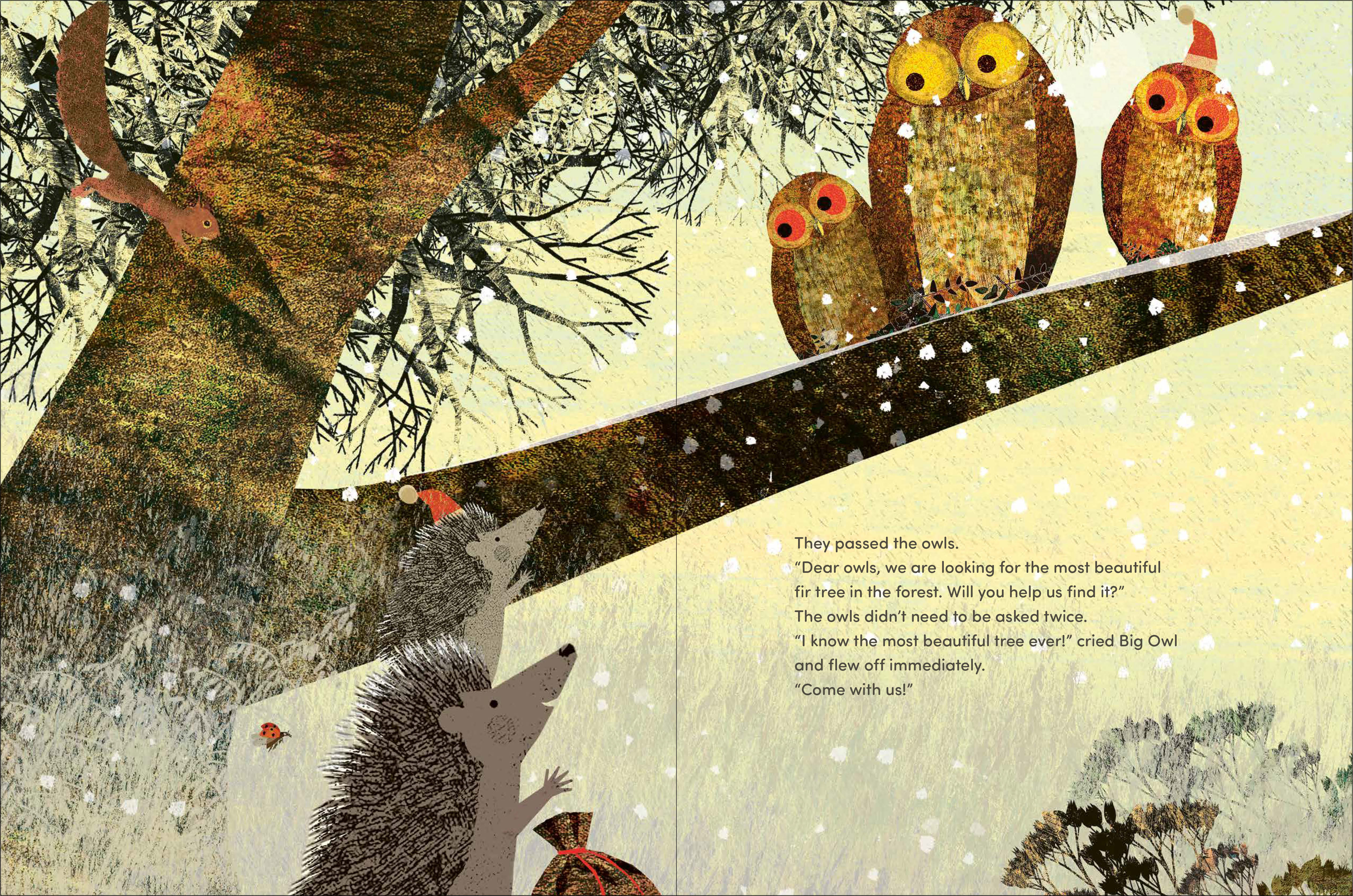 additional book photo