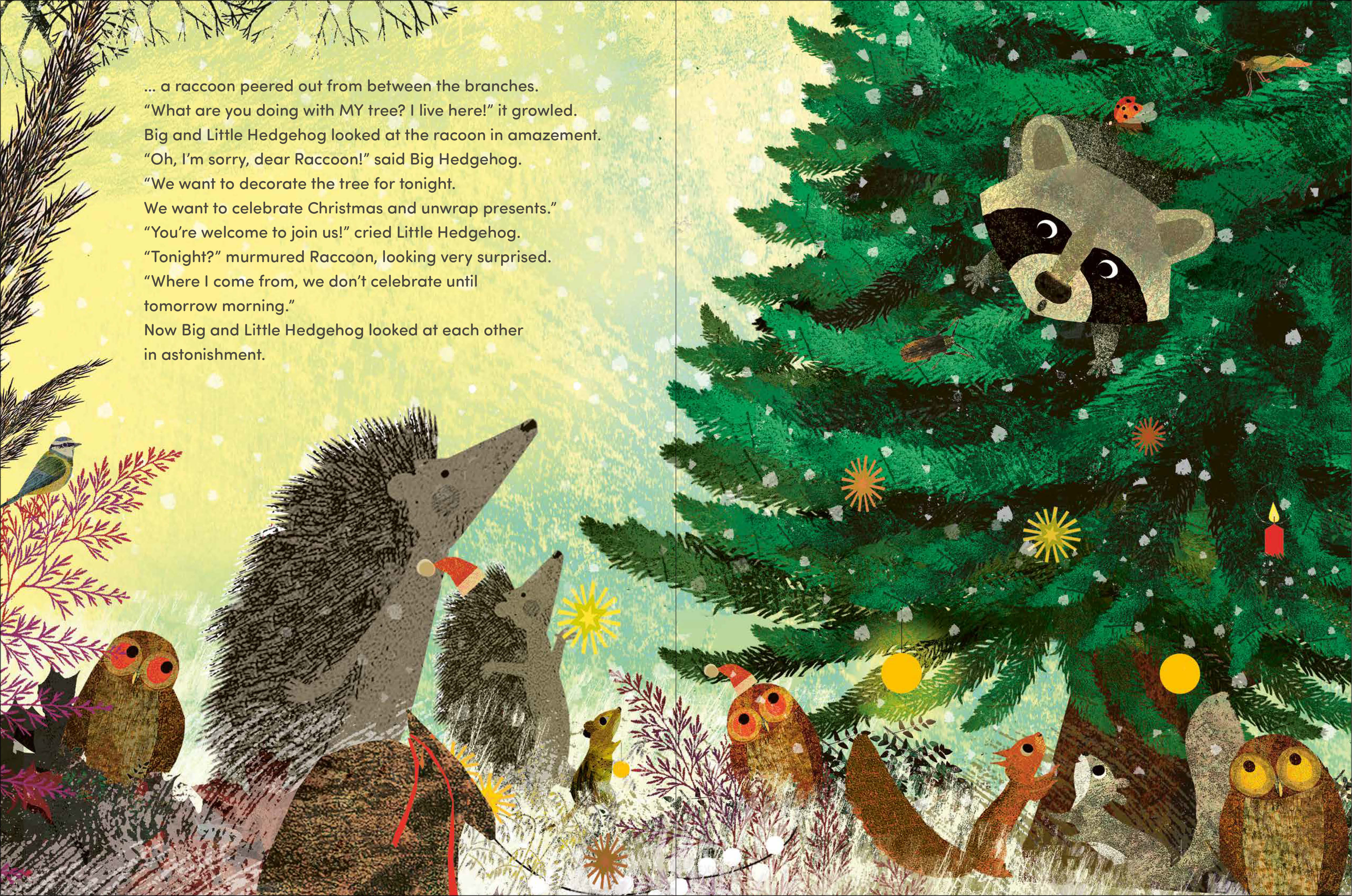additional book photo