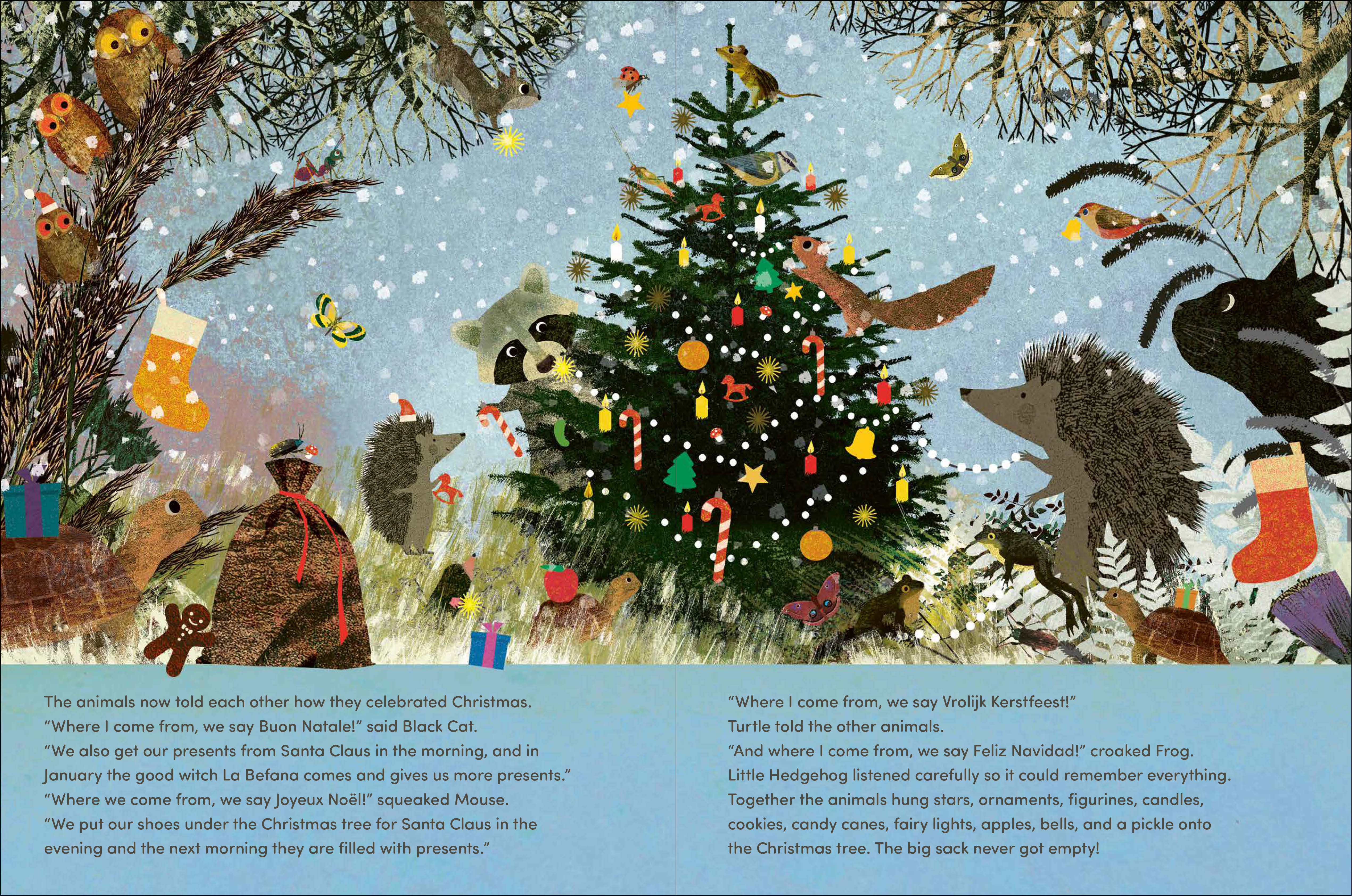 additional book photo