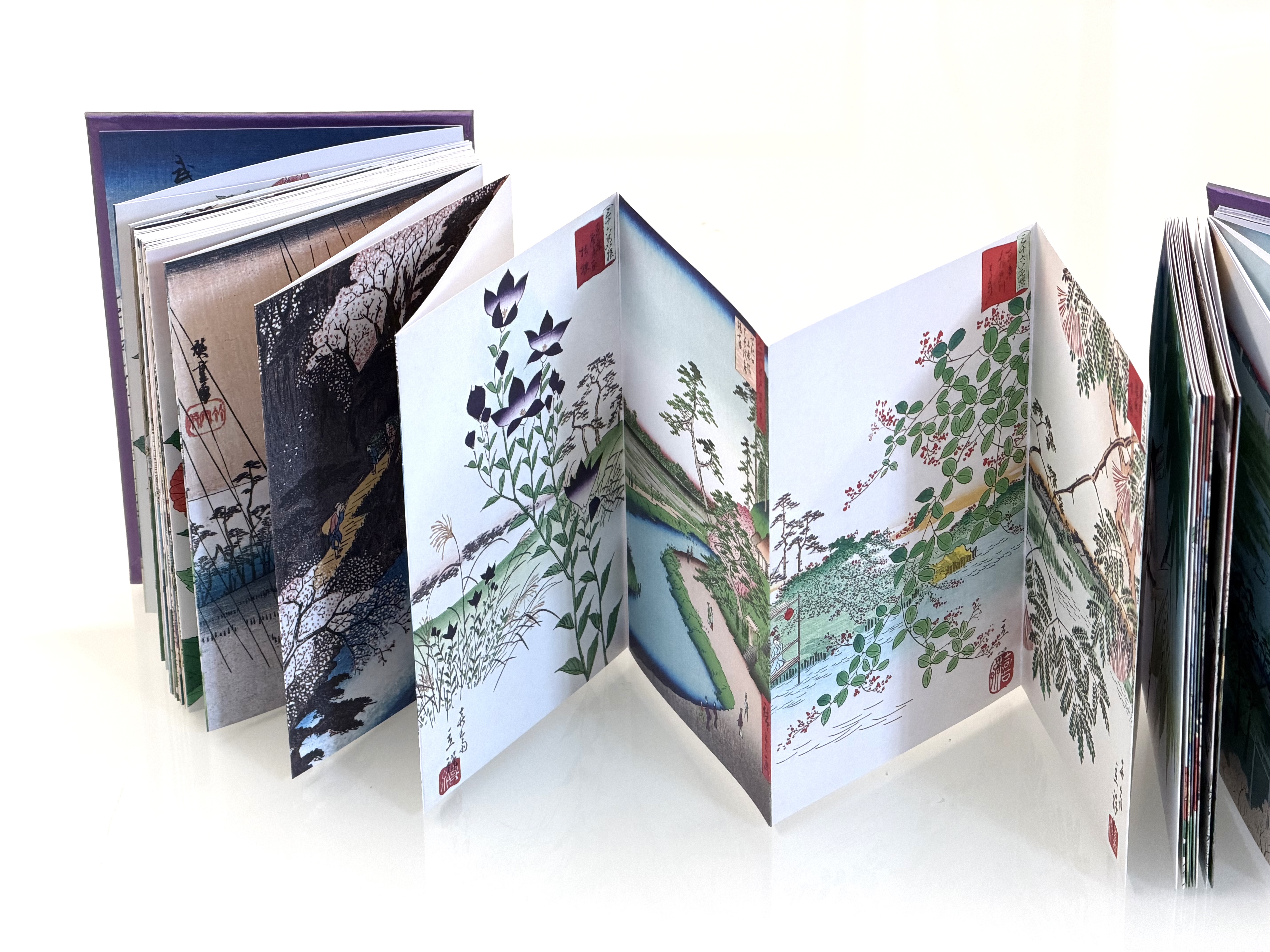 additional book photo